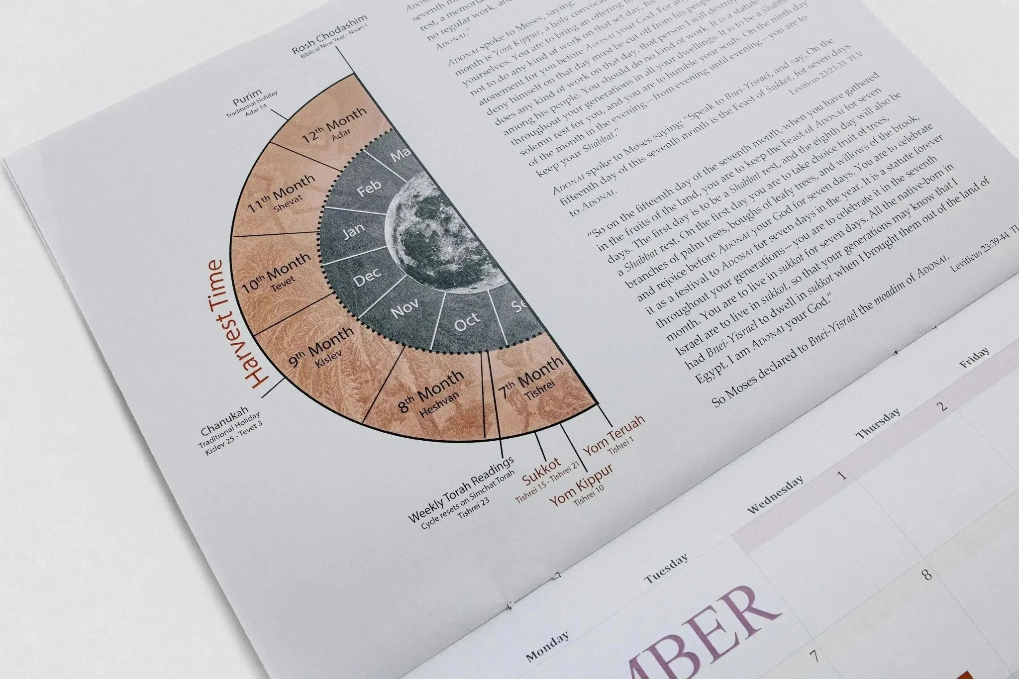 2026 TLV Biblical Calendar (Digital Download) - Image 3