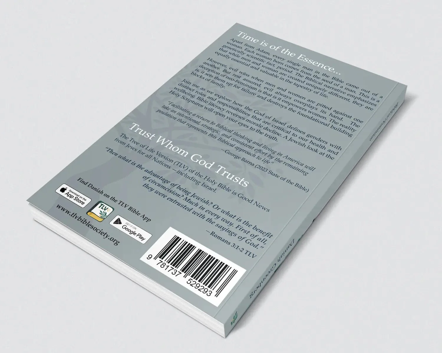 Biblical Feminism Book - Image 8