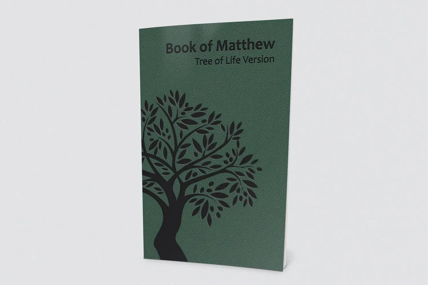 Book of Matthew (Booklet) - Image 3