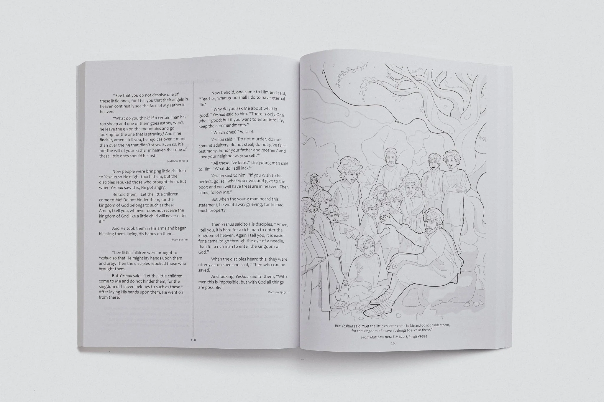 Grow-With-Me Coloring Bible - Image 9