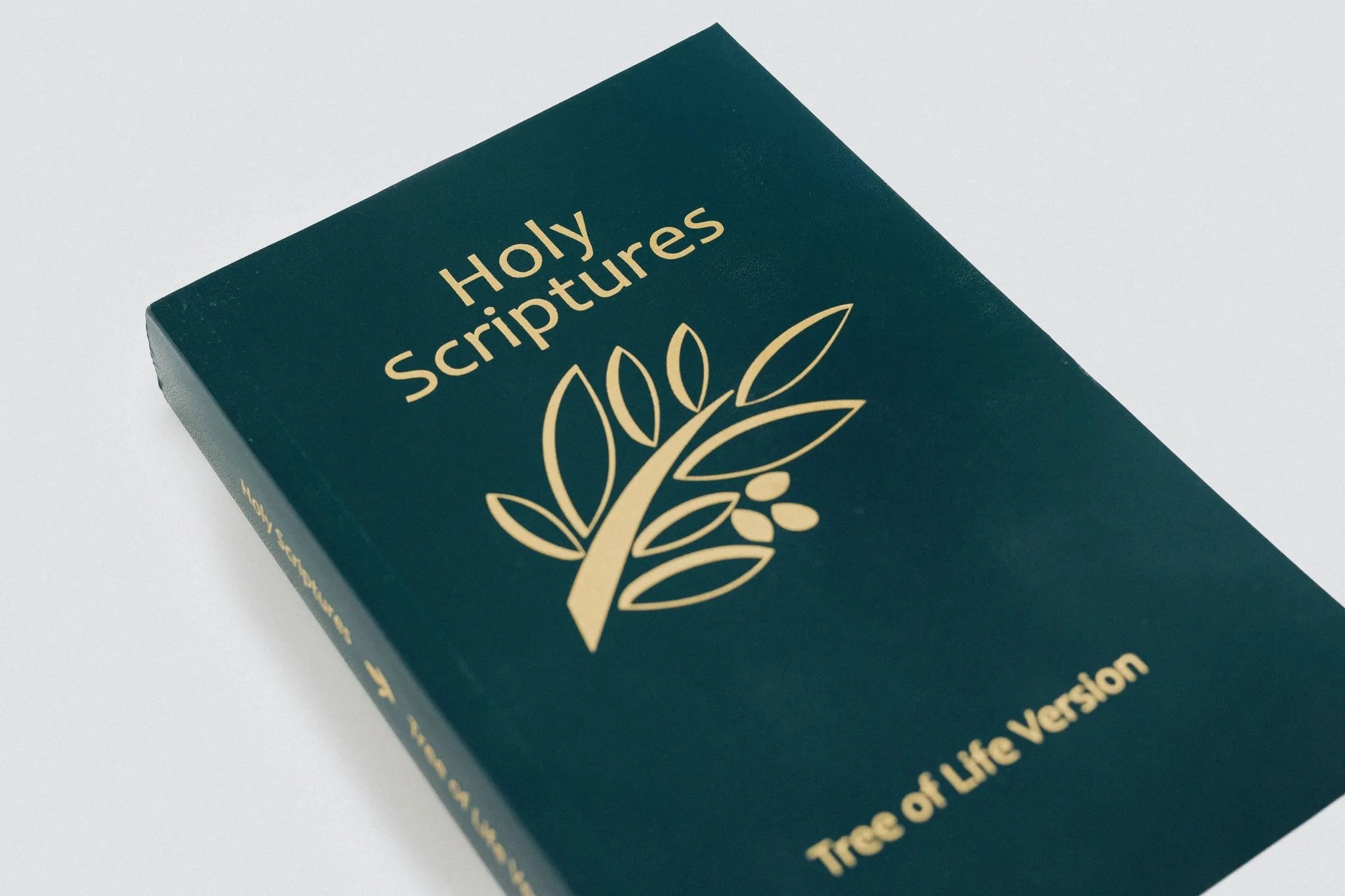 TLV Holy Scriptures: Thinline Edition (Paperback) - Image 4