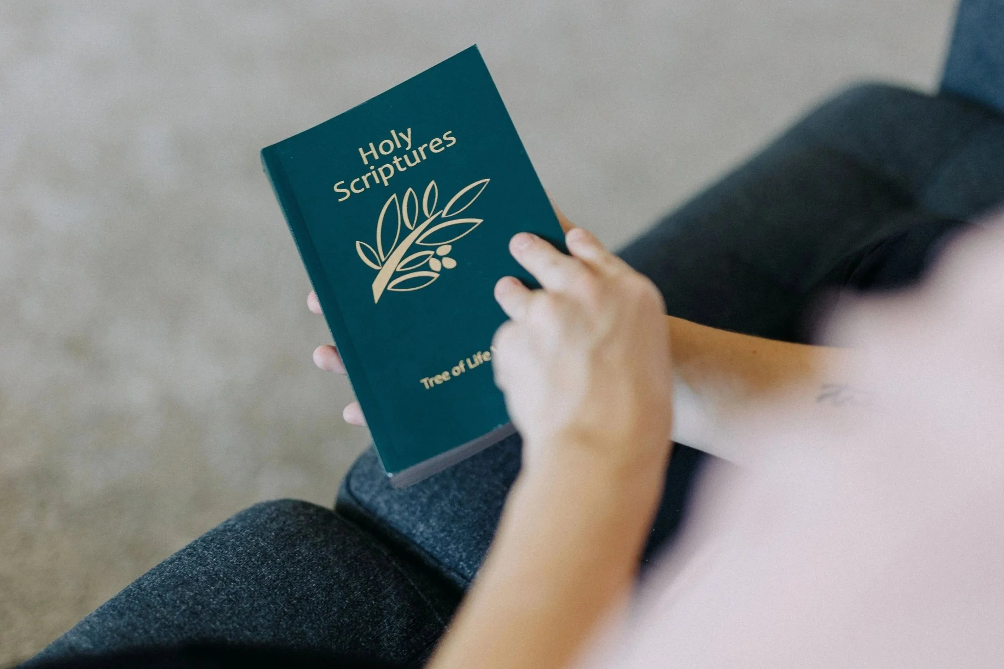 TLV Holy Scriptures: Thinline Edition (Paperback) - Image 9