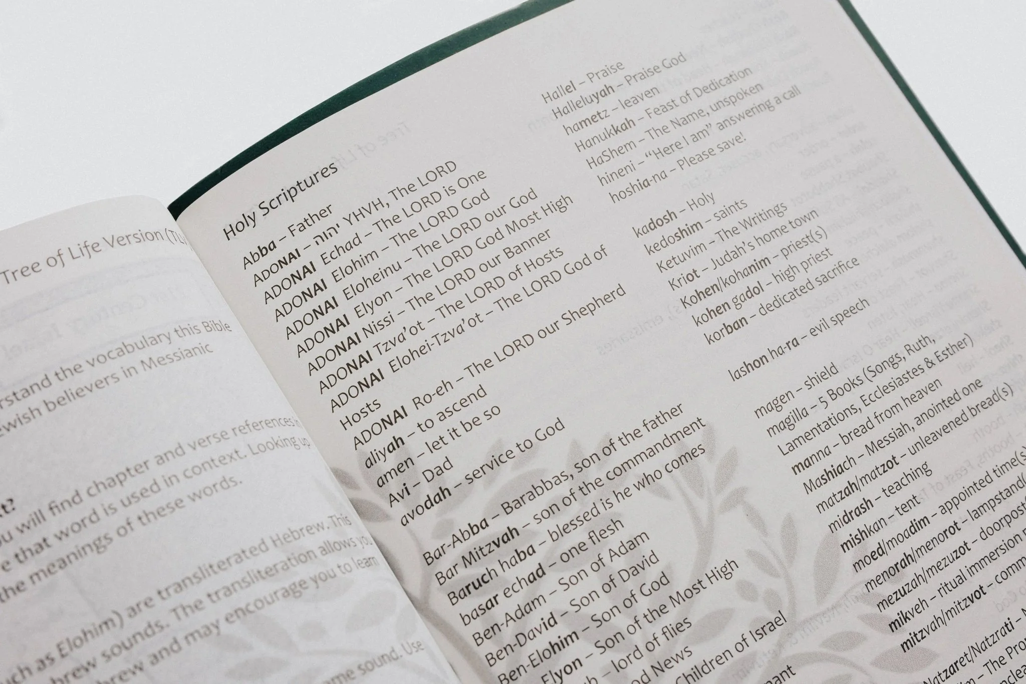 Messianic Jewish Family Bible (TLV) - Image 11