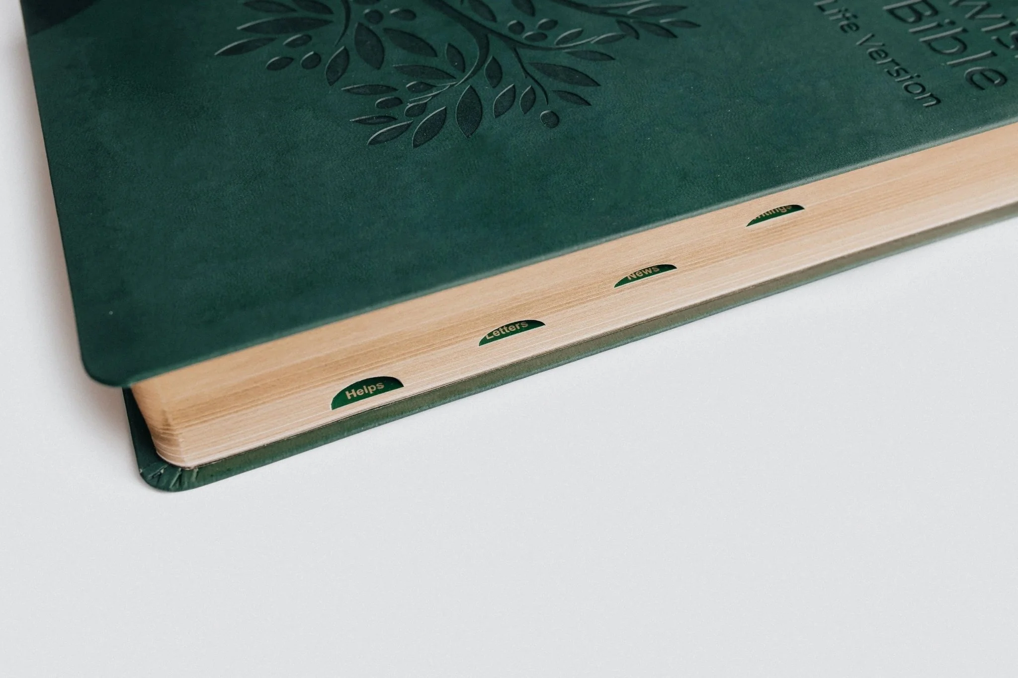 Messianic Jewish Family Bible (TLV) - Image 7