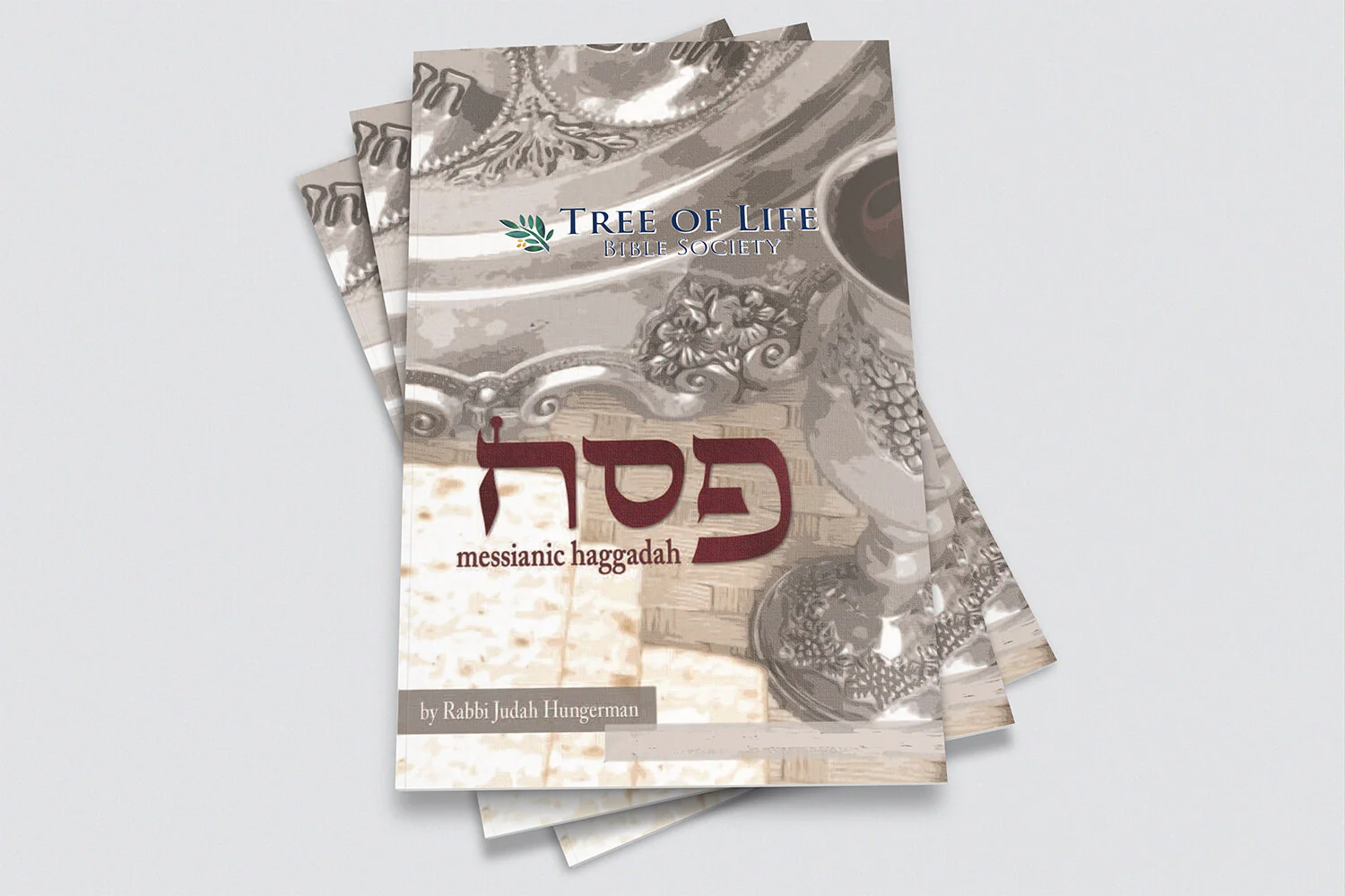 Passover Messianic Haggadah (Booklet) - Image 5