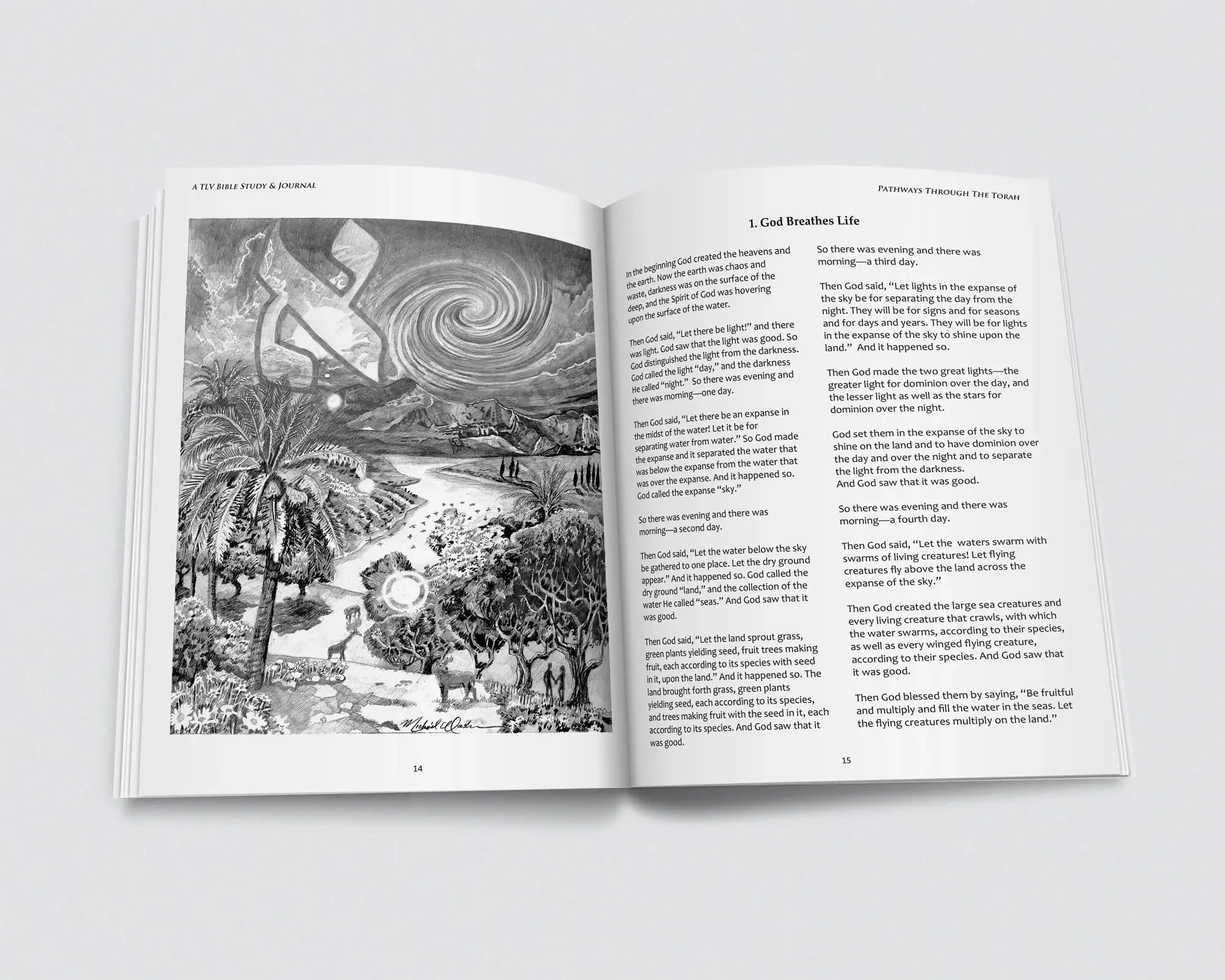 Pathways through the Torah: A TLV Bible Study & Illustrated Journal - Image 10