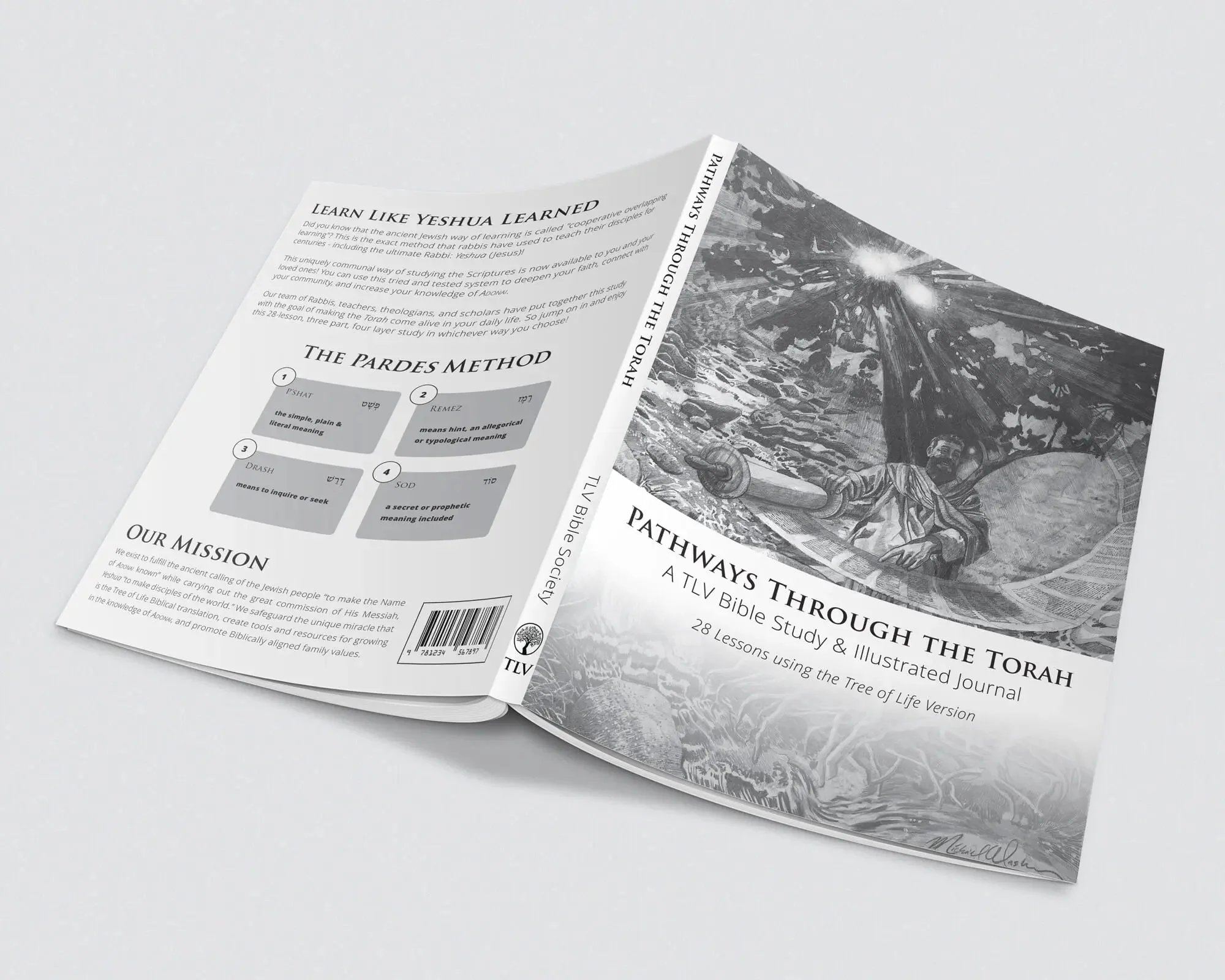 Pathways through the Torah: A TLV Bible Study & Illustrated Journal - Image 11