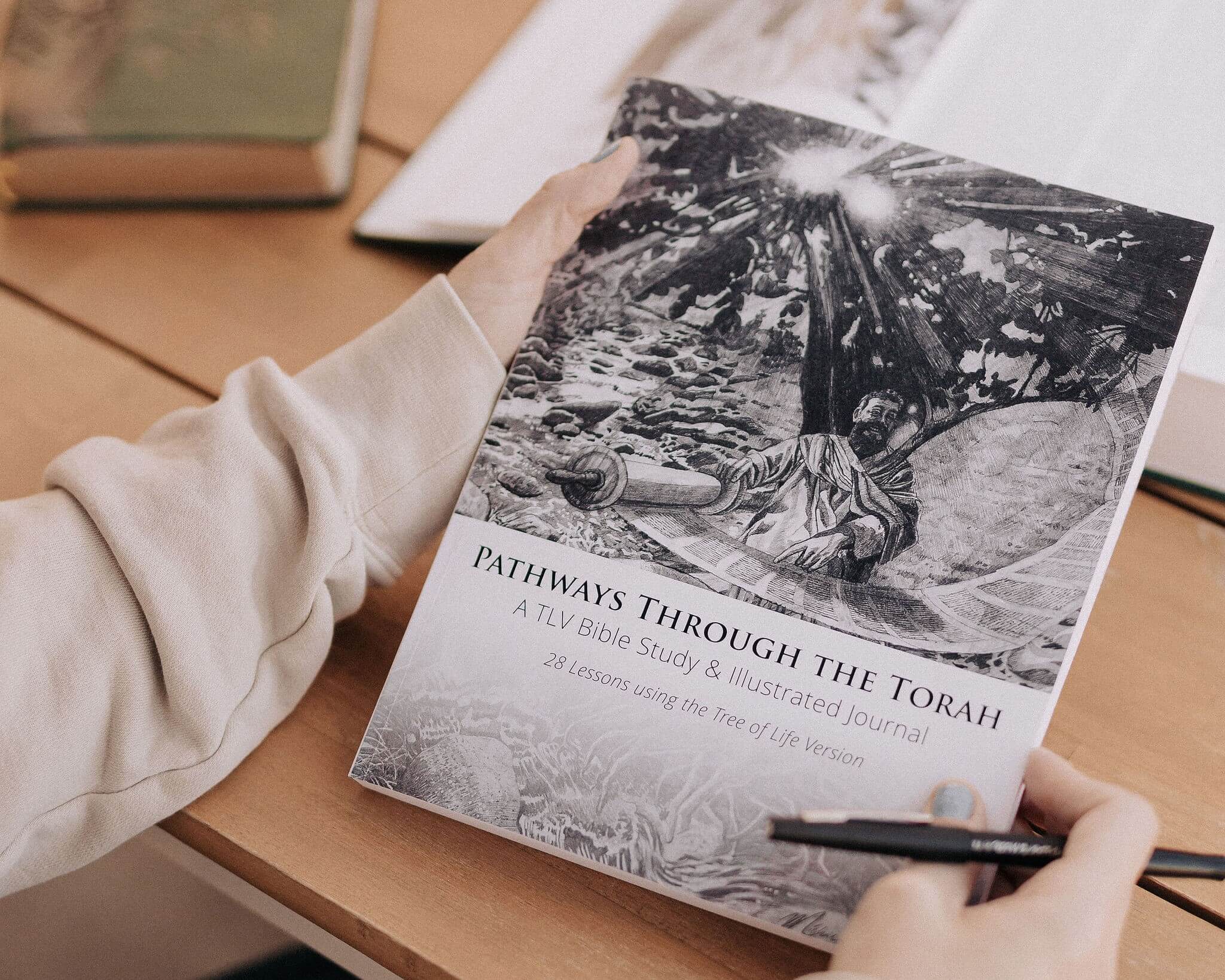 Pathways through the Torah: A TLV Bible Study & Illustrated Journal - Image 2