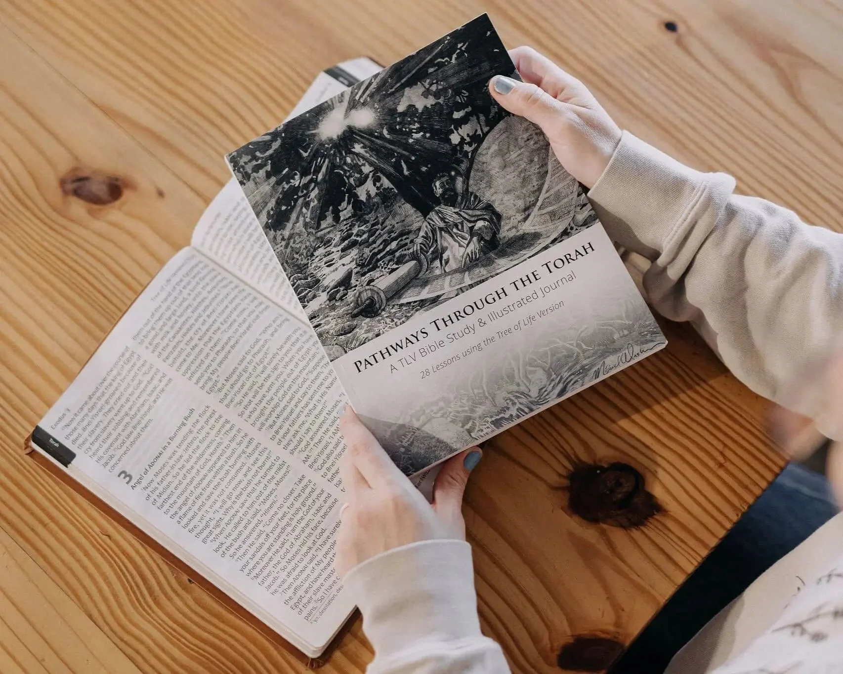 Pathways through the Torah: A TLV Bible Study & Illustrated Journal - Image 3