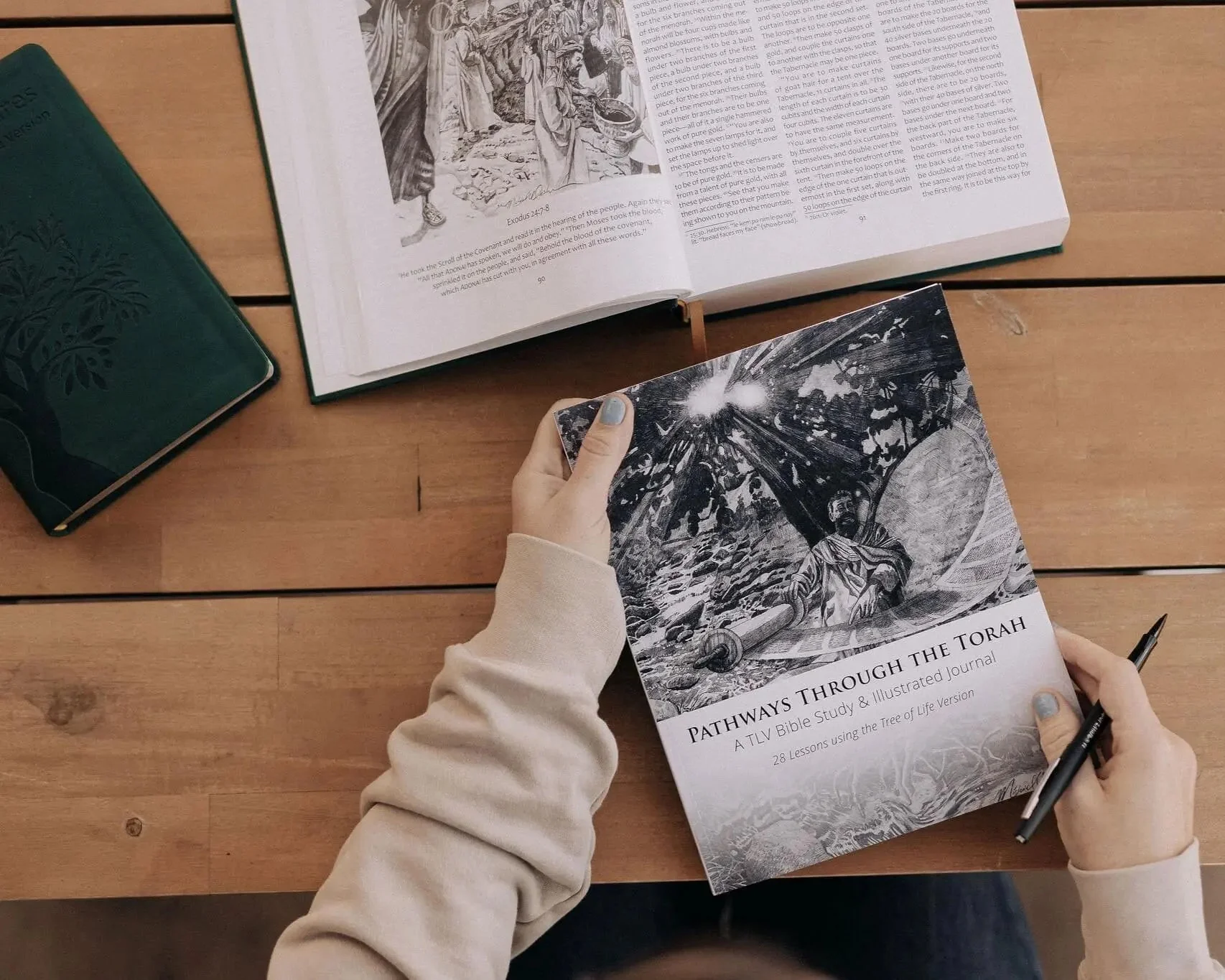 Pathways through the Torah: A TLV Bible Study & Illustrated Journal - Image 4