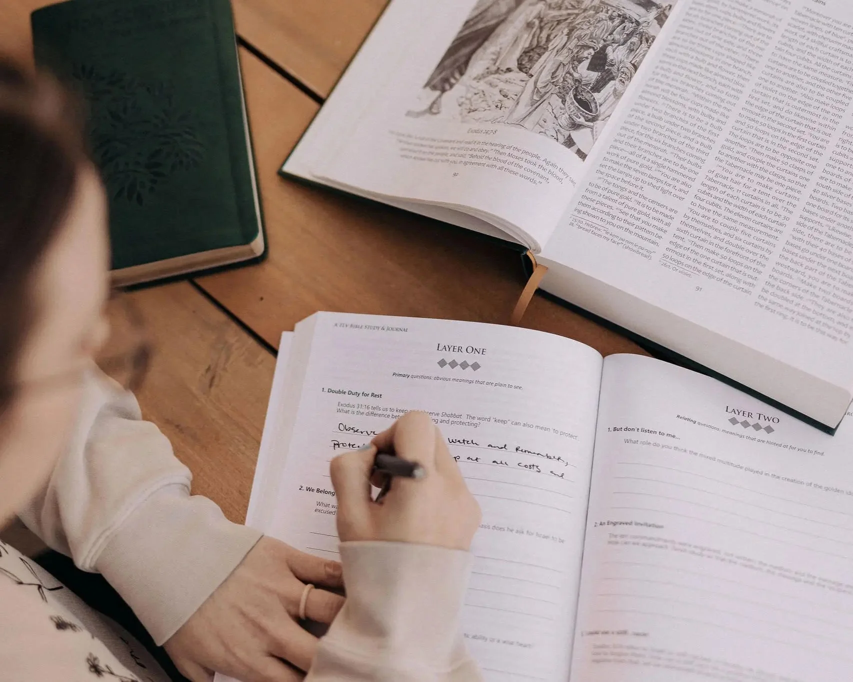 Pathways through the Torah: A TLV Bible Study & Illustrated Journal - Image 5