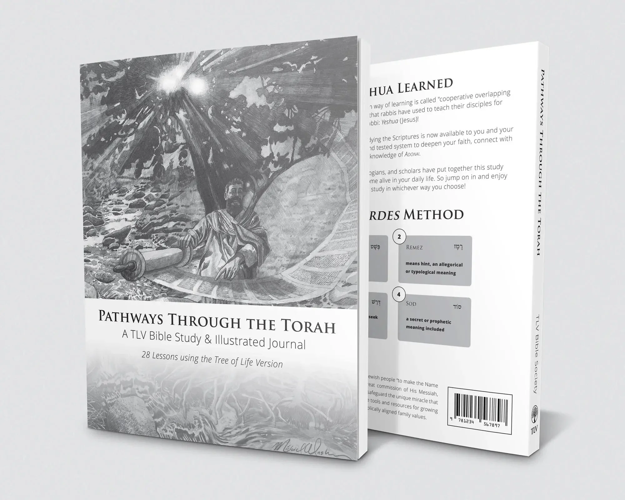 Pathways through the Torah: A TLV Bible Study & Illustrated Journal - Image 8