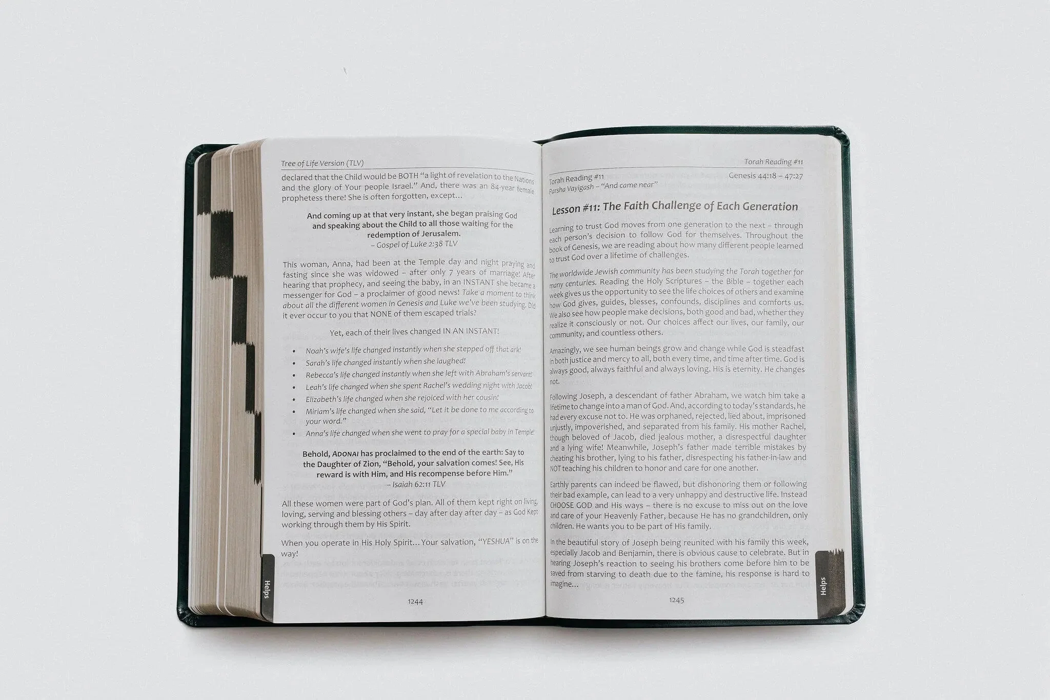 TLV Bible w/ 52 Torah Treasures Devotions (Bonded Leather) - Image 12