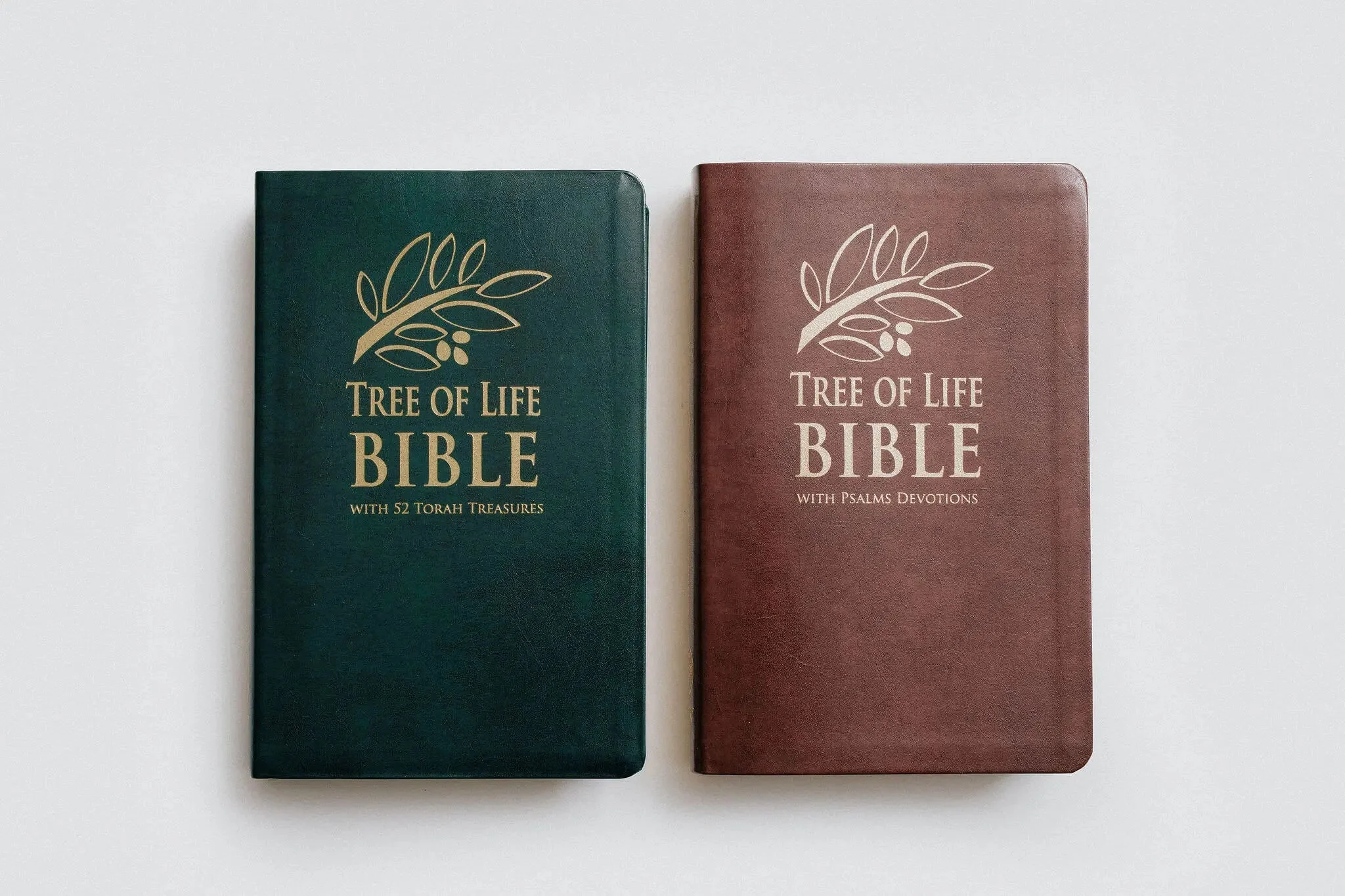 TLV Bible w/ 52 Torah Treasures Devotions (Bonded Leather) - Image 14
