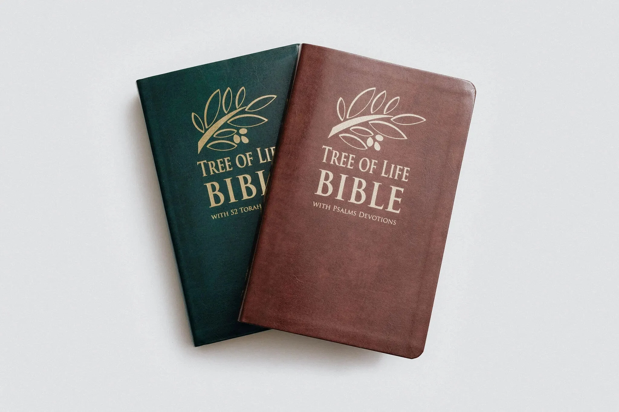 TLV Bible w/ 52 Torah Treasures Devotions (Bonded Leather) - Image 15