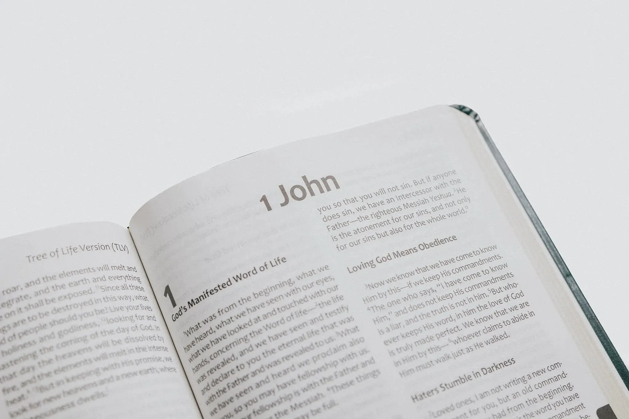 TLV Bible w/ 52 Torah Treasures Devotions (Bonded Leather) - Image 5