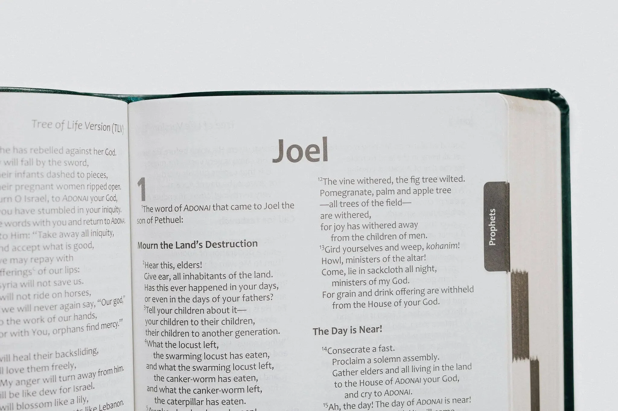 TLV Bible w/ 52 Torah Treasures Devotions (Bonded Leather) - Image 6