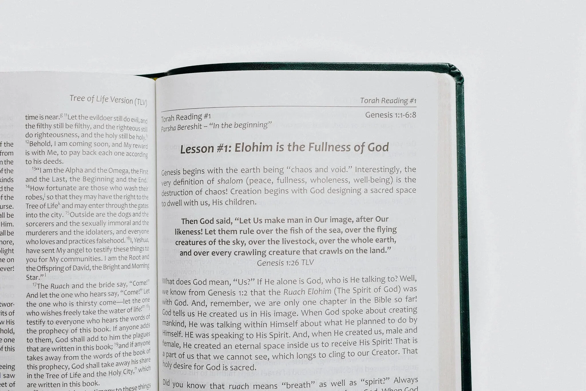 TLV Bible w/ 52 Torah Treasures Devotions (Bonded Leather) - Image 7
