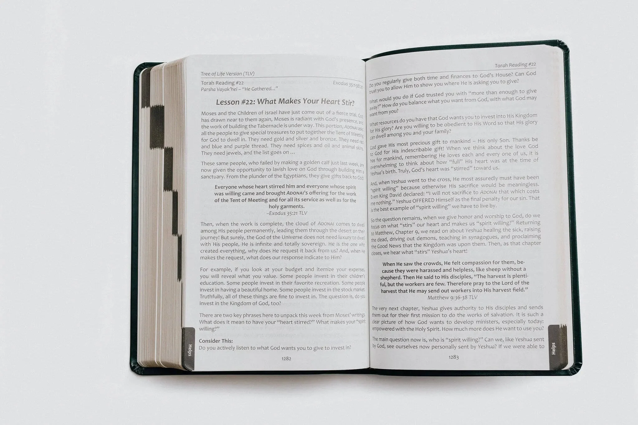 TLV Bible w/ 52 Torah Treasures Devotions (Bonded Leather) - Image 9
