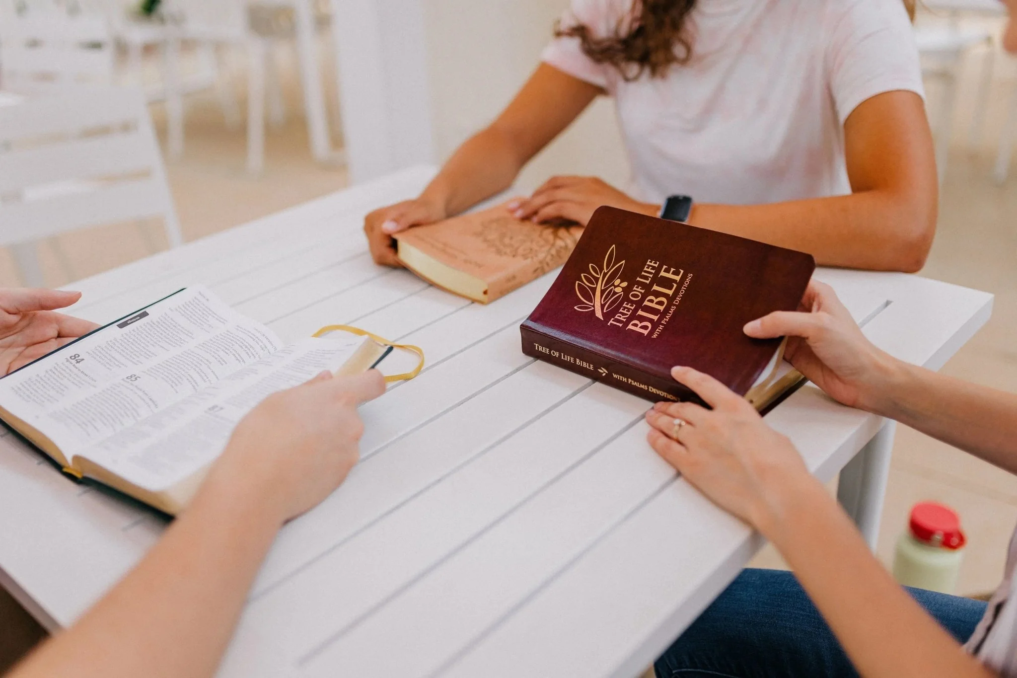 TLV Bible w/ Psalms Devotions (Bonded Leather) - Image 3