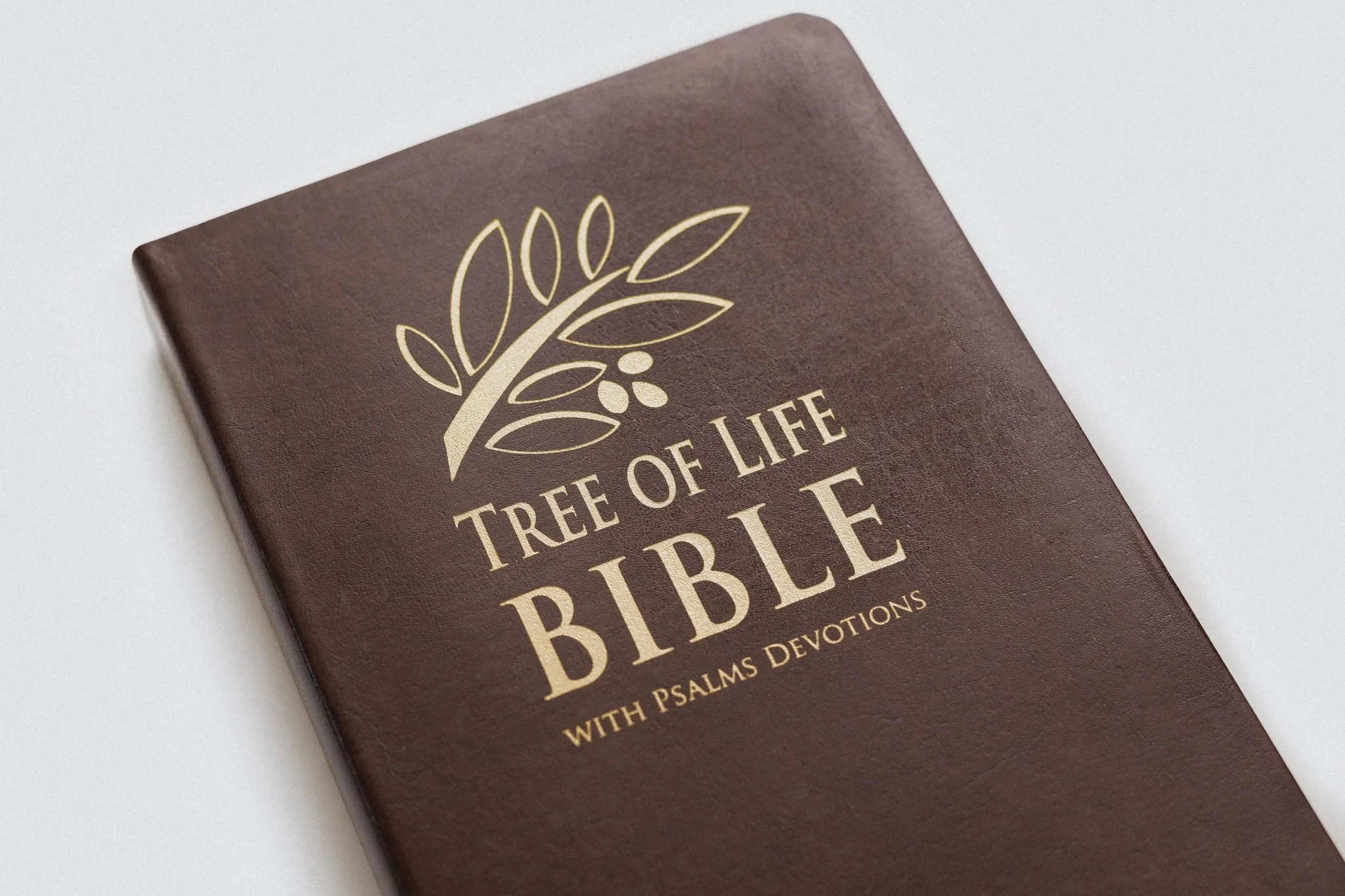 TLV Bible w/ Psalms Devotions (Bonded Leather) - Image 5