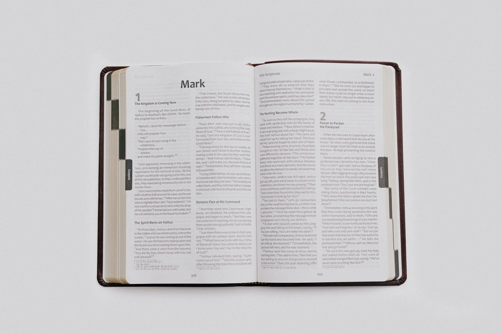 TLV Bible w/ Psalms Devotions (Bonded Leather) - Image 6