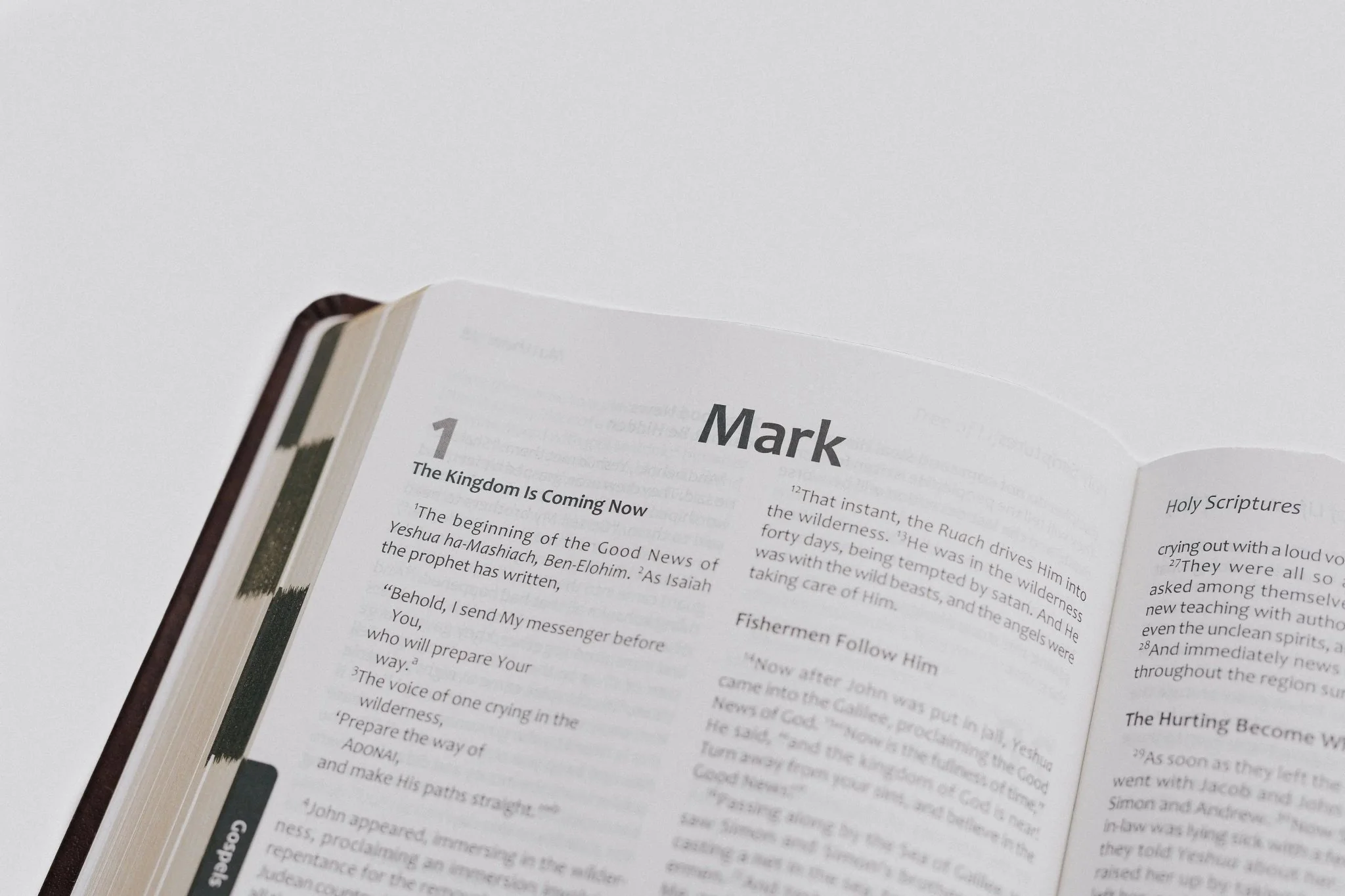 TLV Bible w/ Psalms Devotions (Bonded Leather) - Image 7