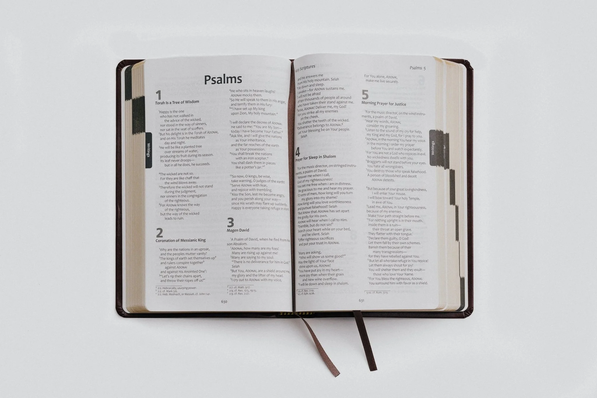 TLV Bible w/ Psalms Devotions (Bonded Leather) - Image 8