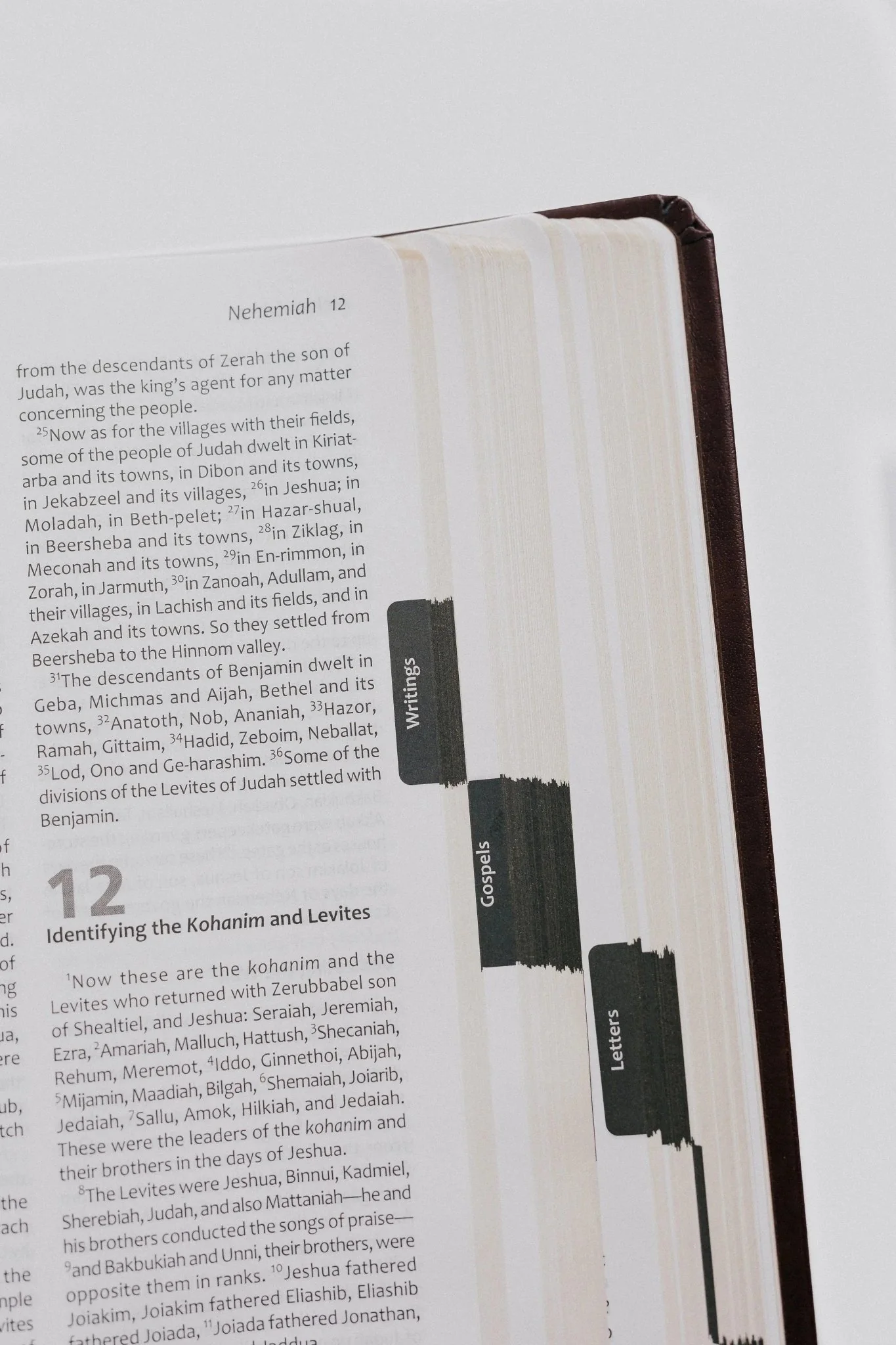 TLV Bible w/ Psalms Devotions (Bonded Leather) - Image 9