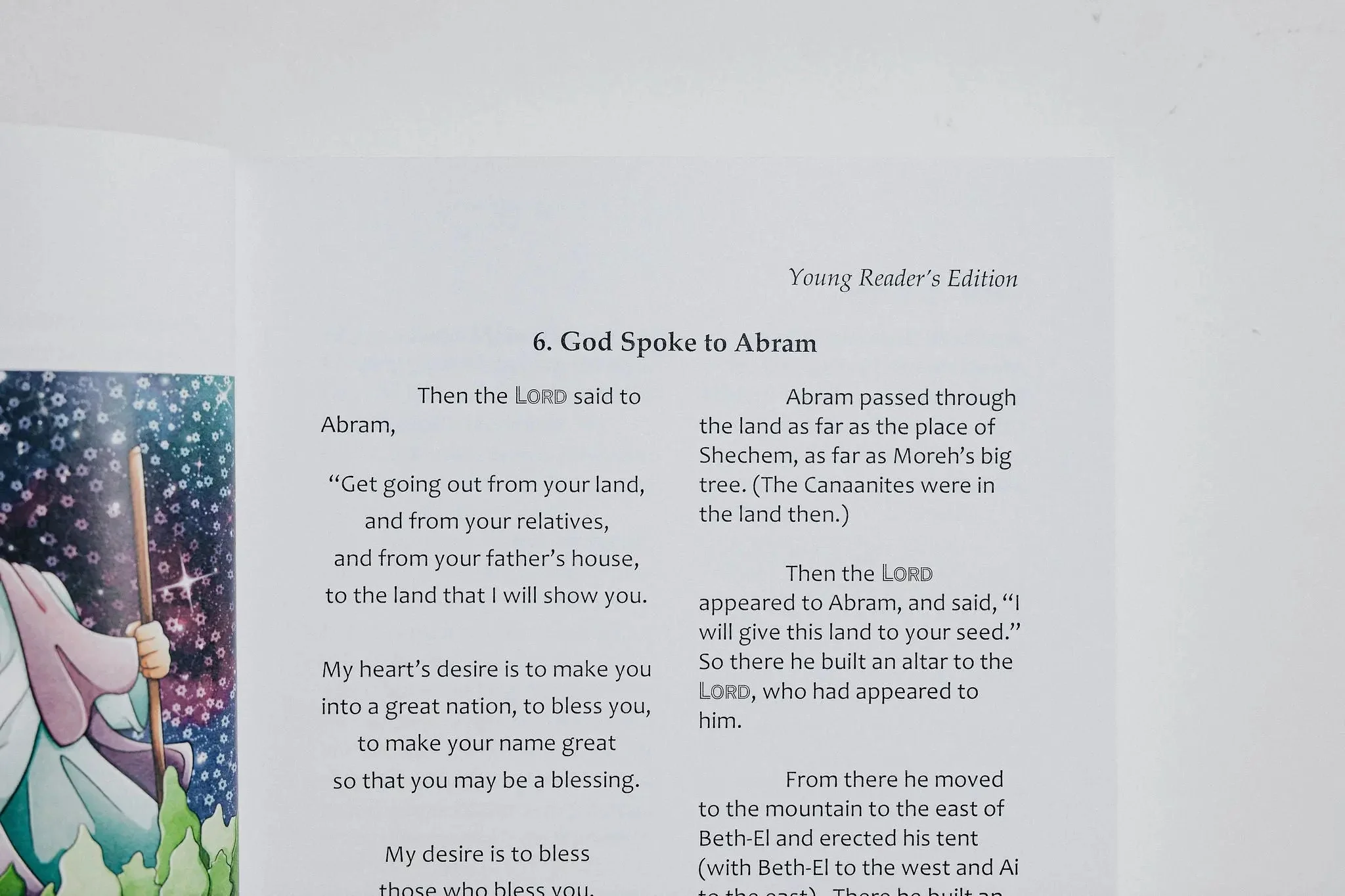 TLV Bible: Young Readers Edition - Image 11