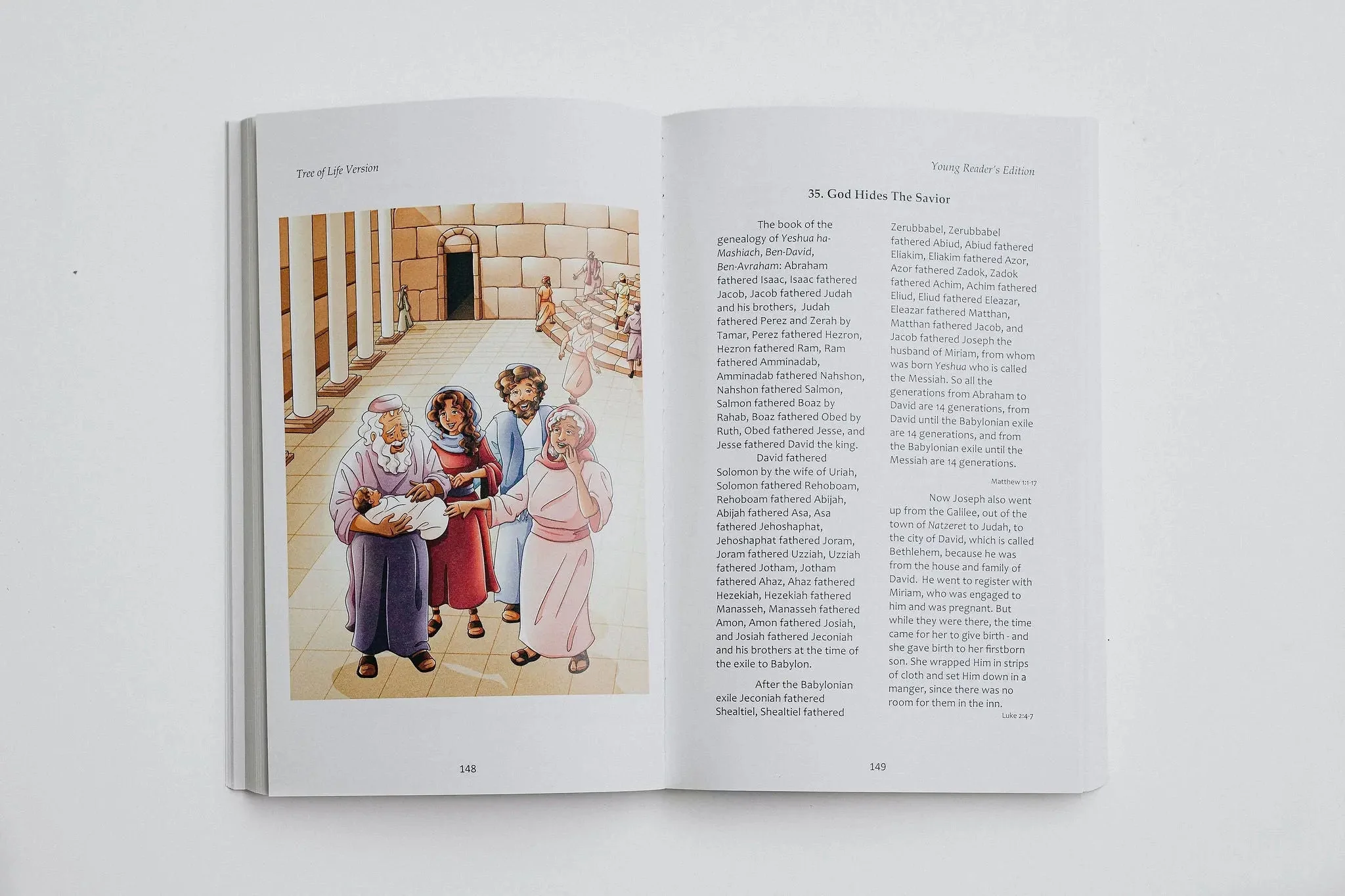 TLV Bible: Young Readers Edition - Image 12