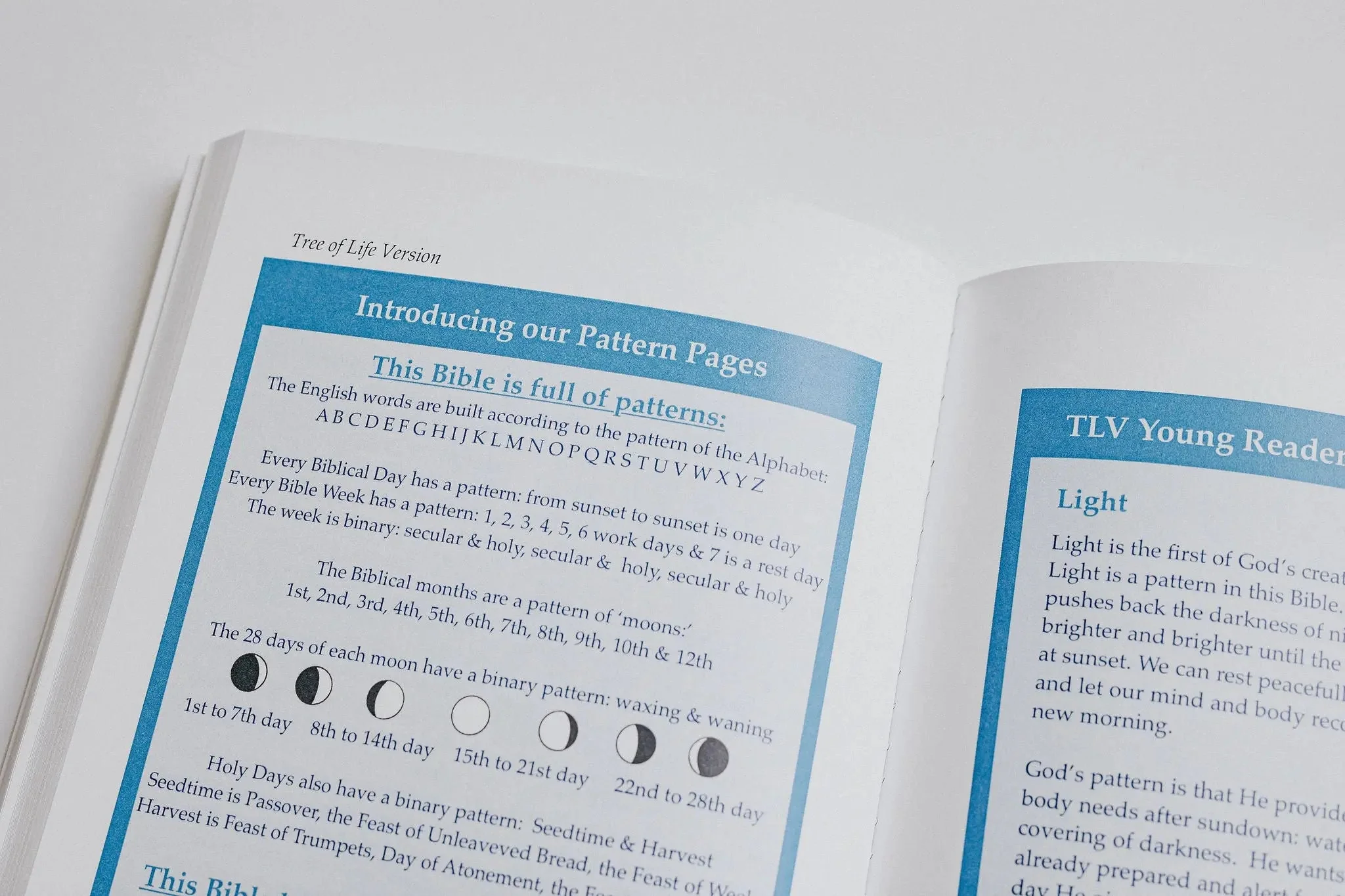 TLV Bible: Young Readers Edition - Image 13