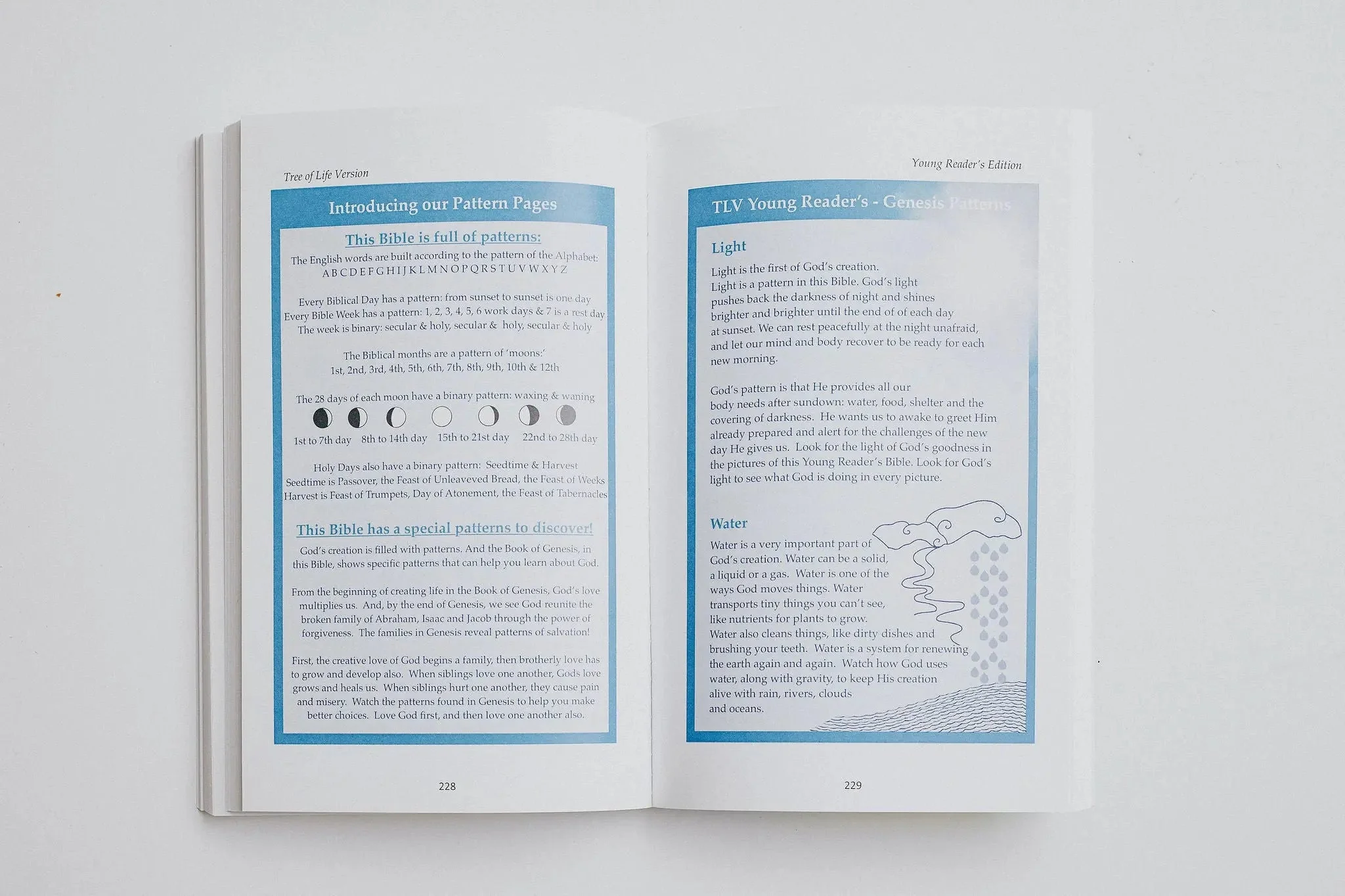 TLV Bible: Young Readers Edition - Image 14
