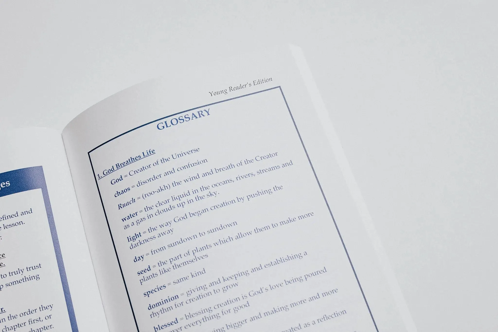 TLV Bible: Young Readers Edition - Image 15