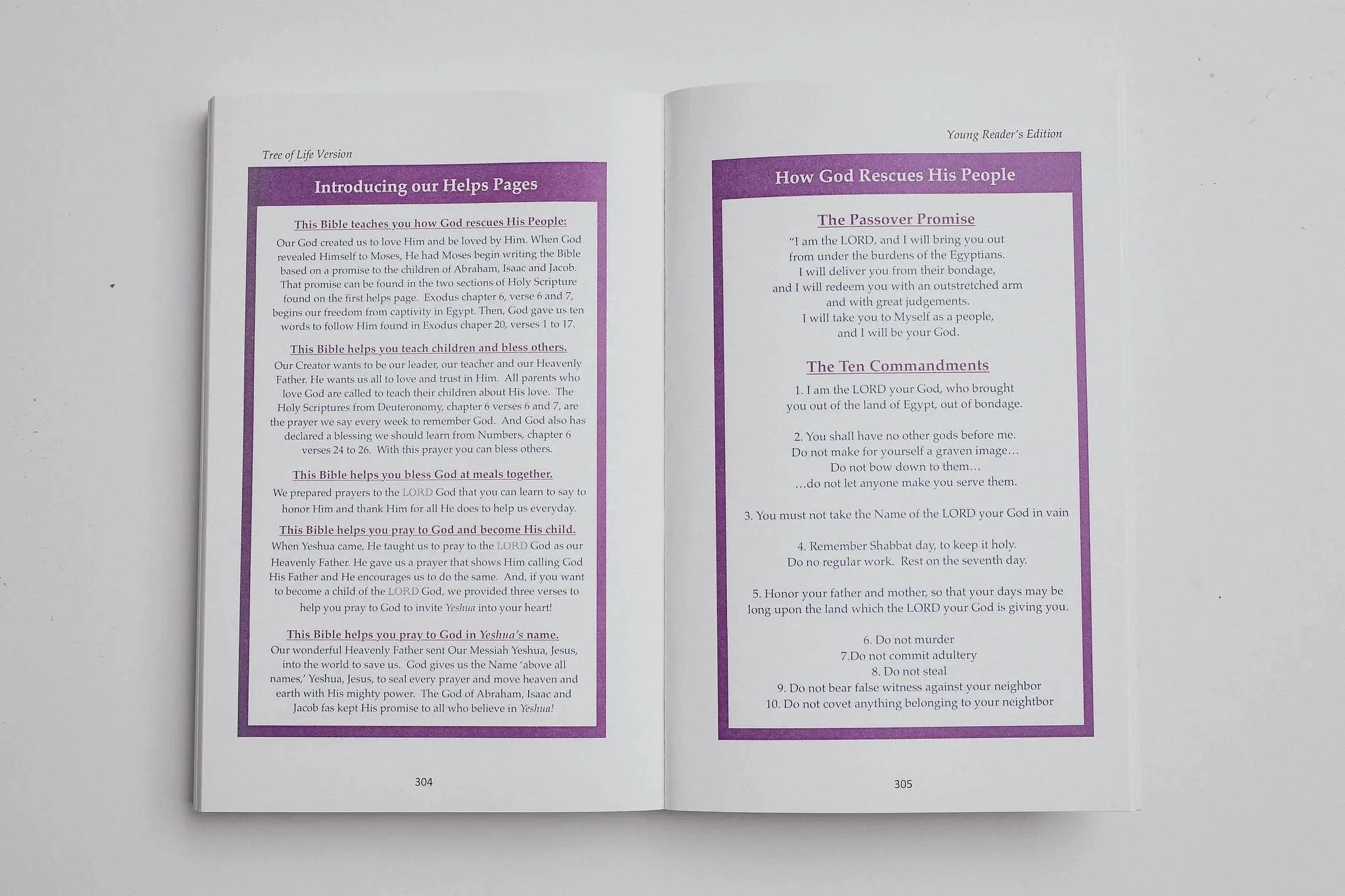 TLV Bible: Young Readers Edition - Image 17