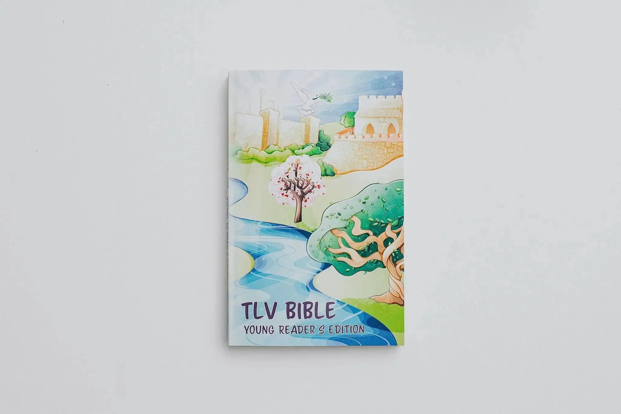 TLV Bible: Young Readers Edition - Image 4