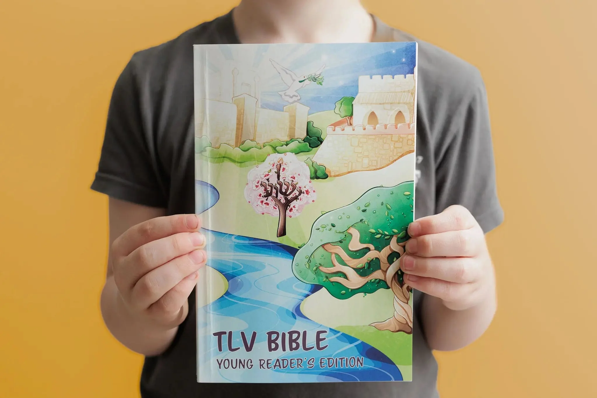 TLV Bible: Young Readers Edition - Image 6