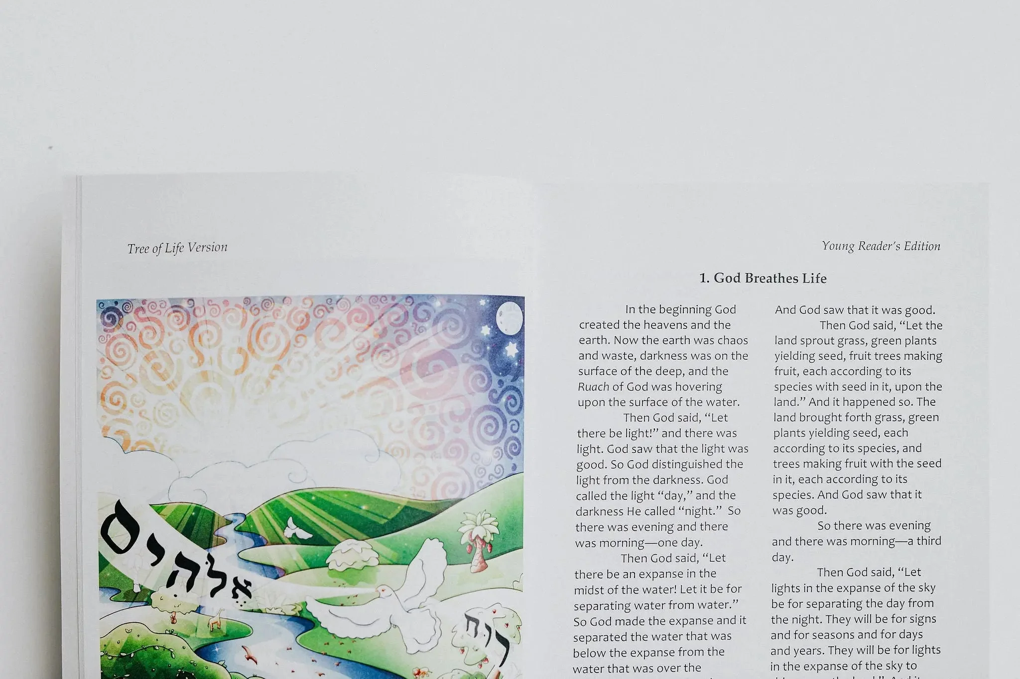 TLV Bible: Young Readers Edition - Image 8