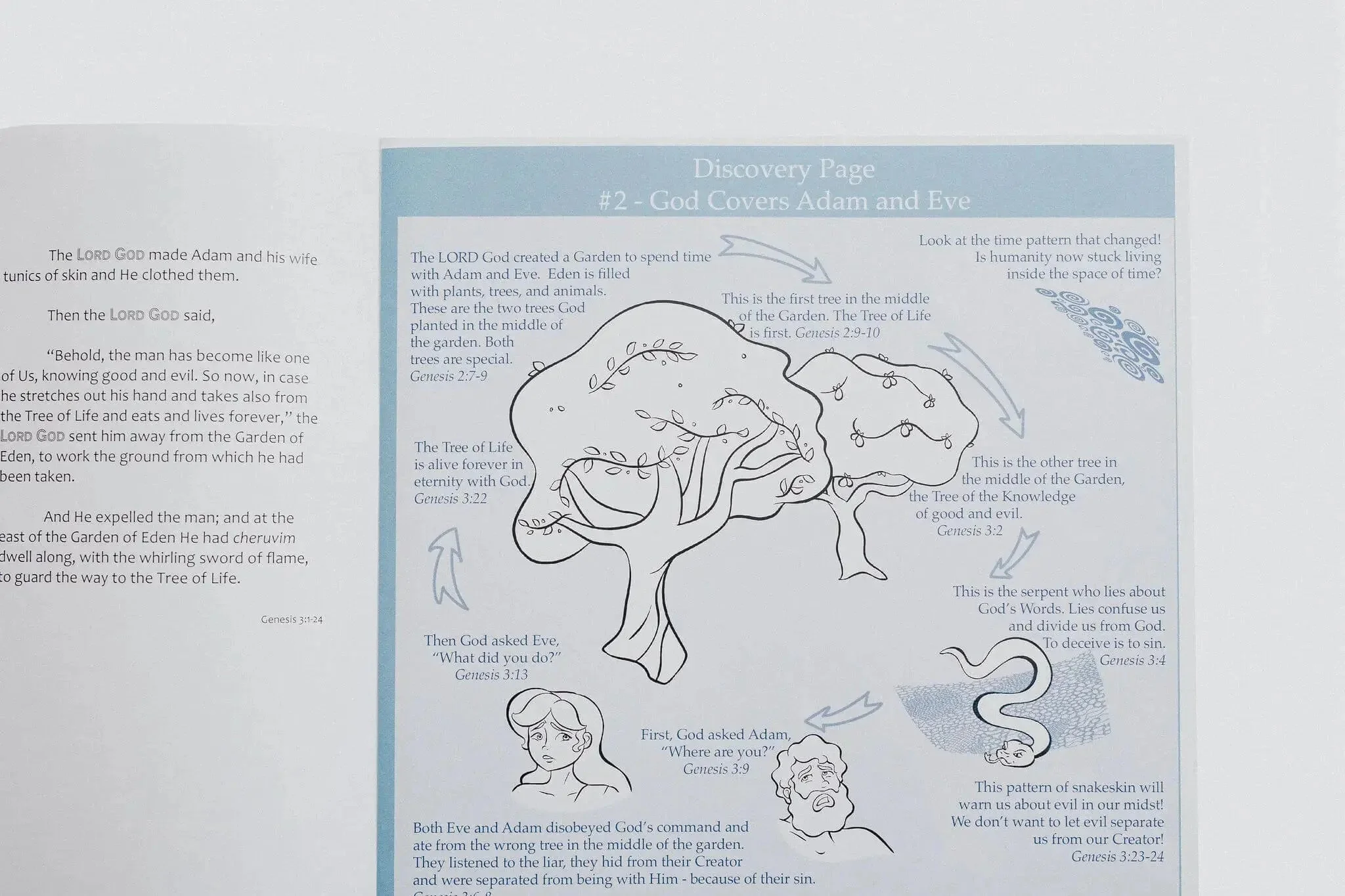 TLV Genesis Guidebook - Image 4