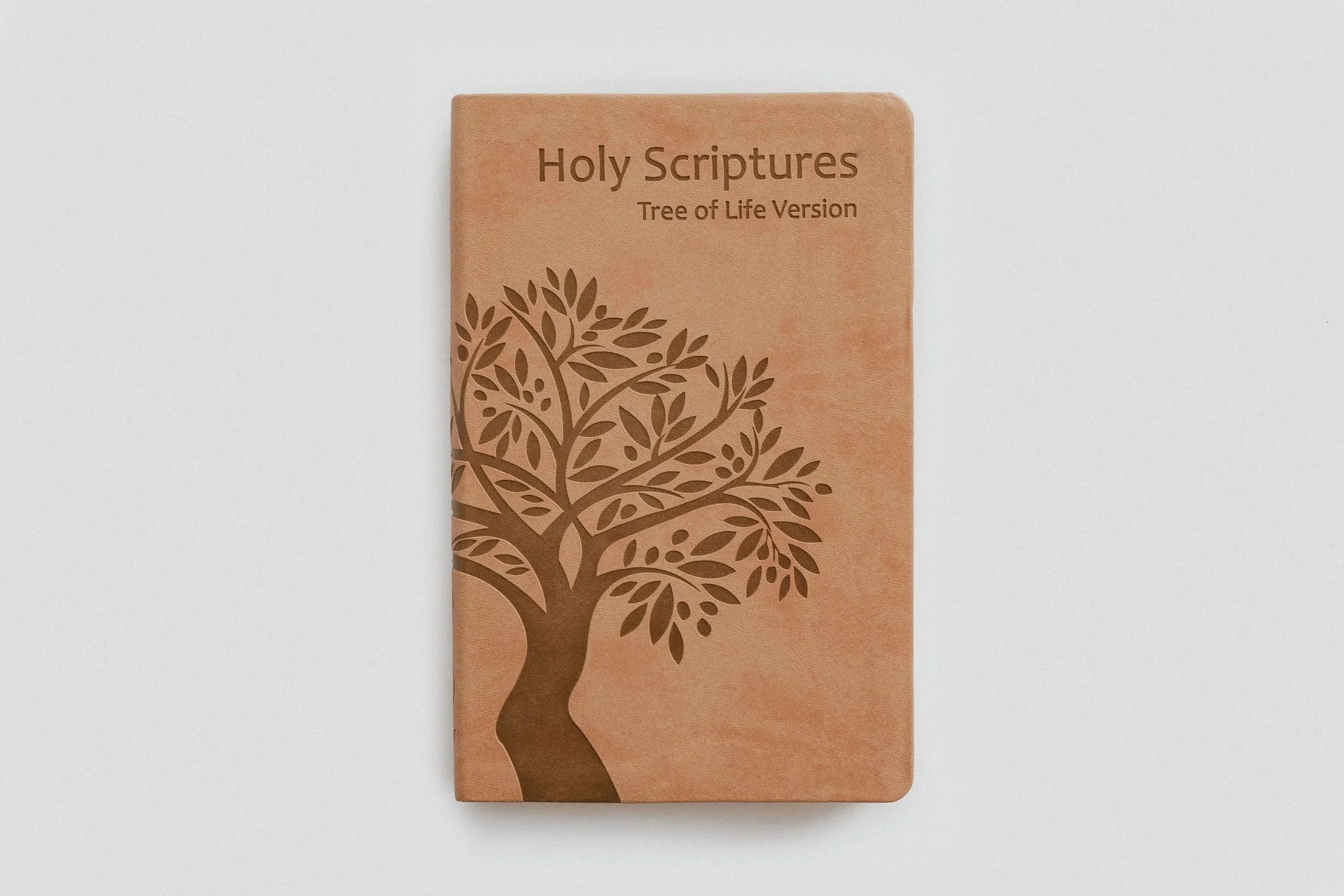 TLV Holy Scriptures: Thinline Edition (Leatherette) - Image 13
