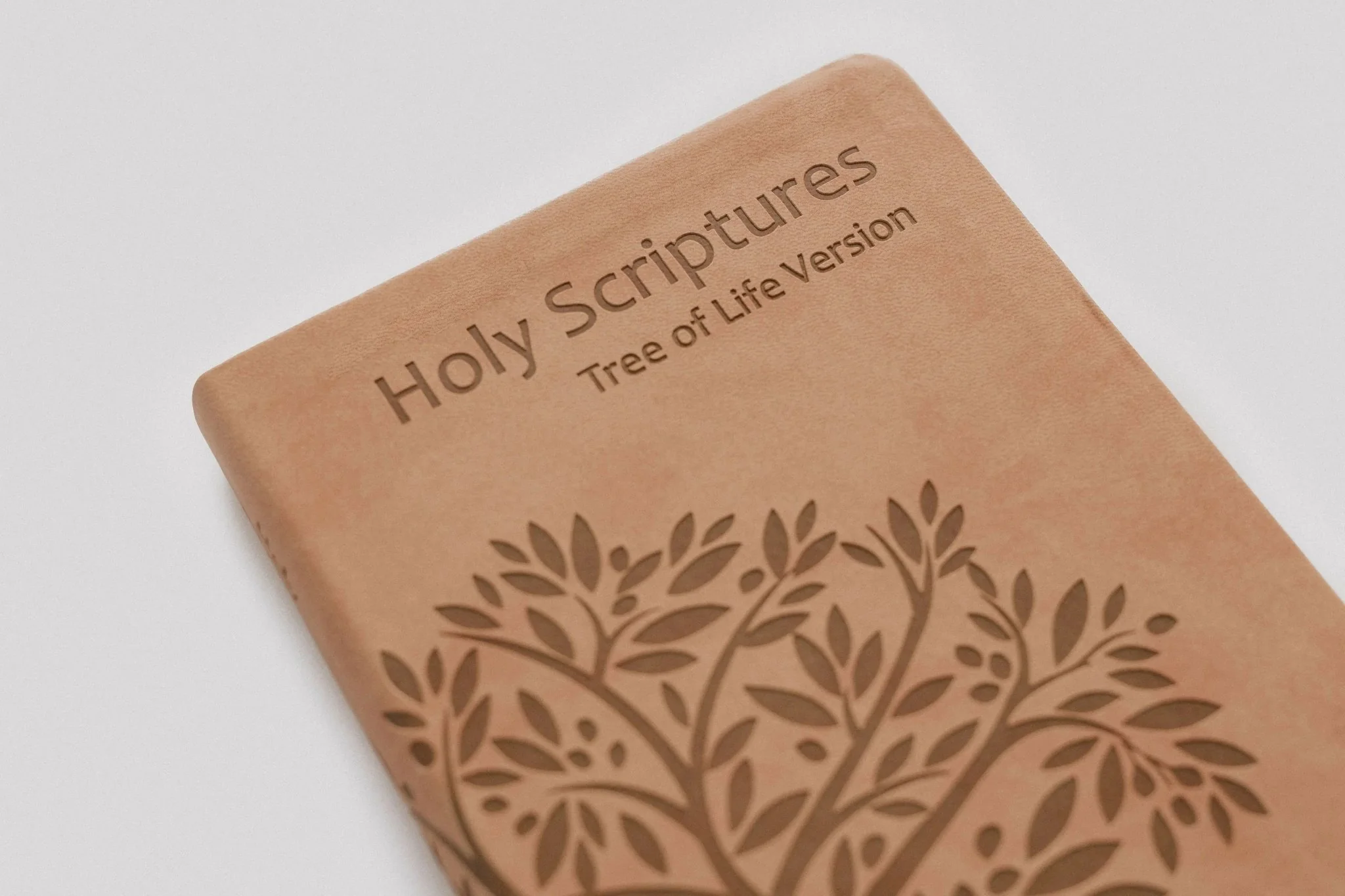 TLV Holy Scriptures: Thinline Edition (Leatherette) - Image 14