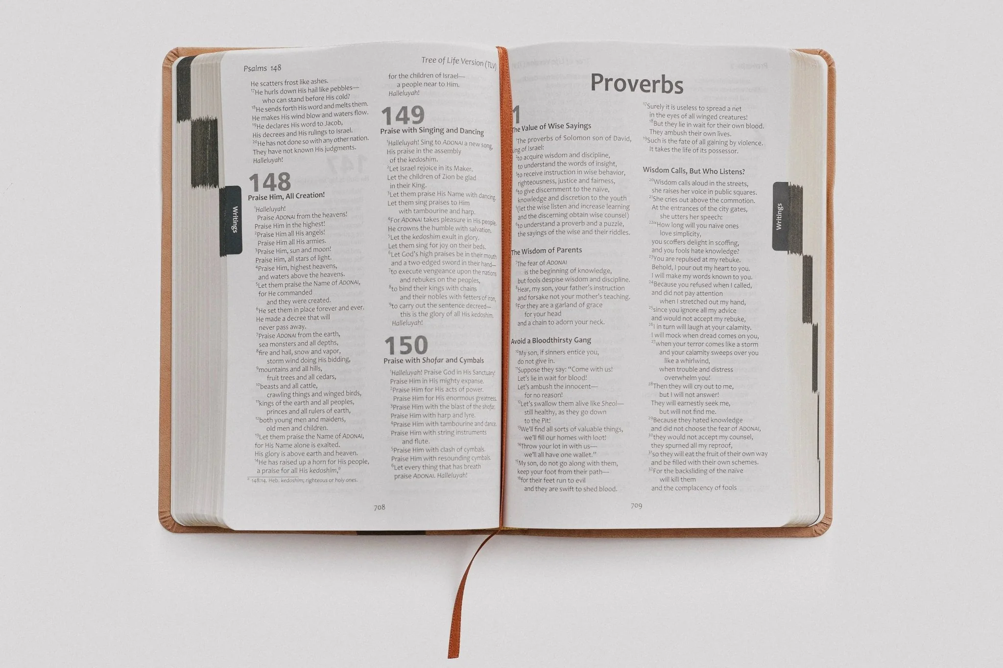 TLV Holy Scriptures: Thinline Edition (Leatherette) - Image 16
