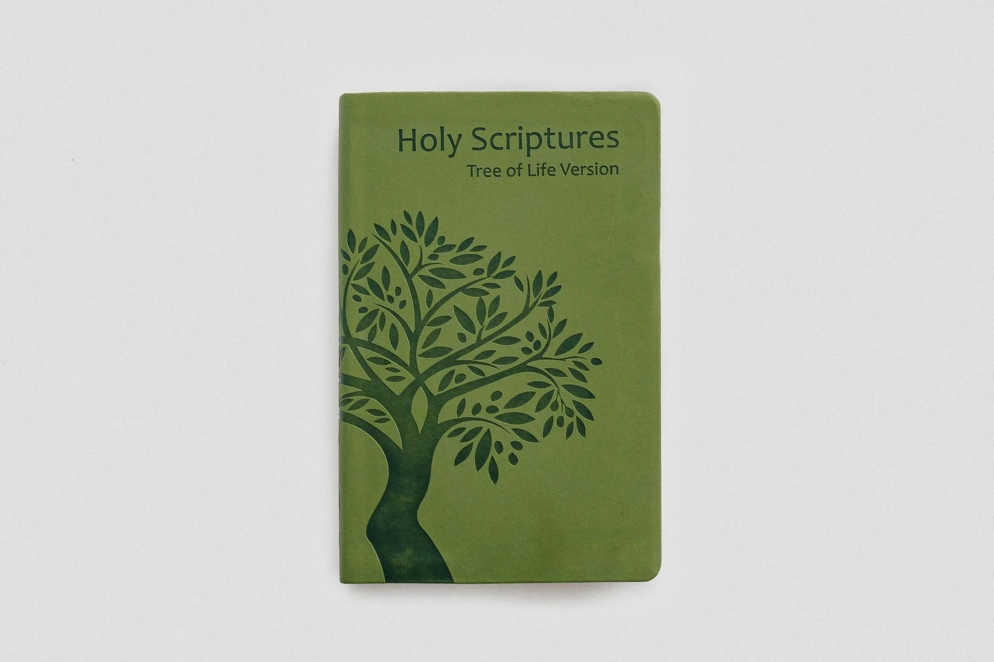 TLV Holy Scriptures: Thinline Edition (Leatherette) - Image 18