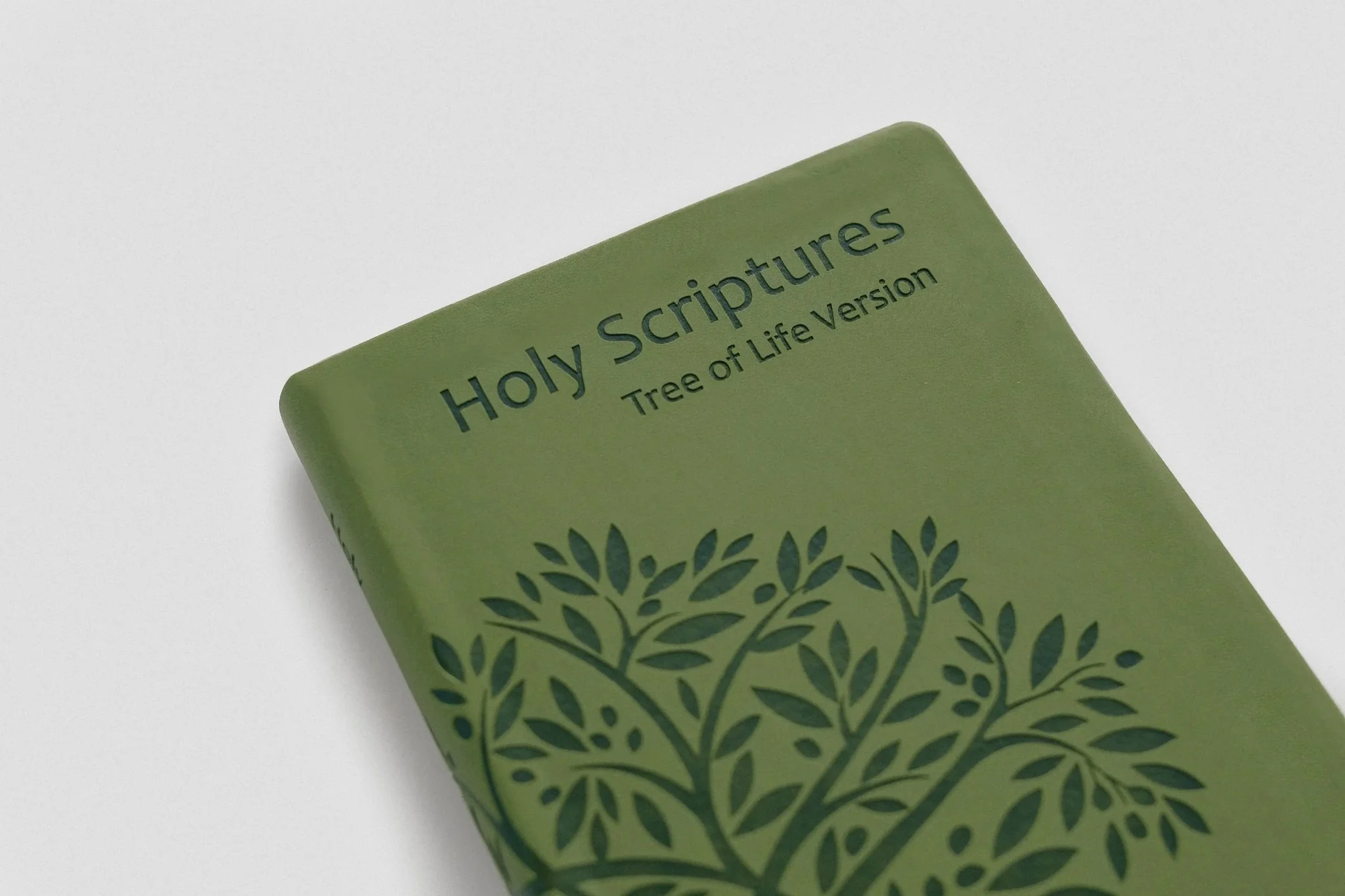 TLV Holy Scriptures: Thinline Edition (Leatherette) - Image 19