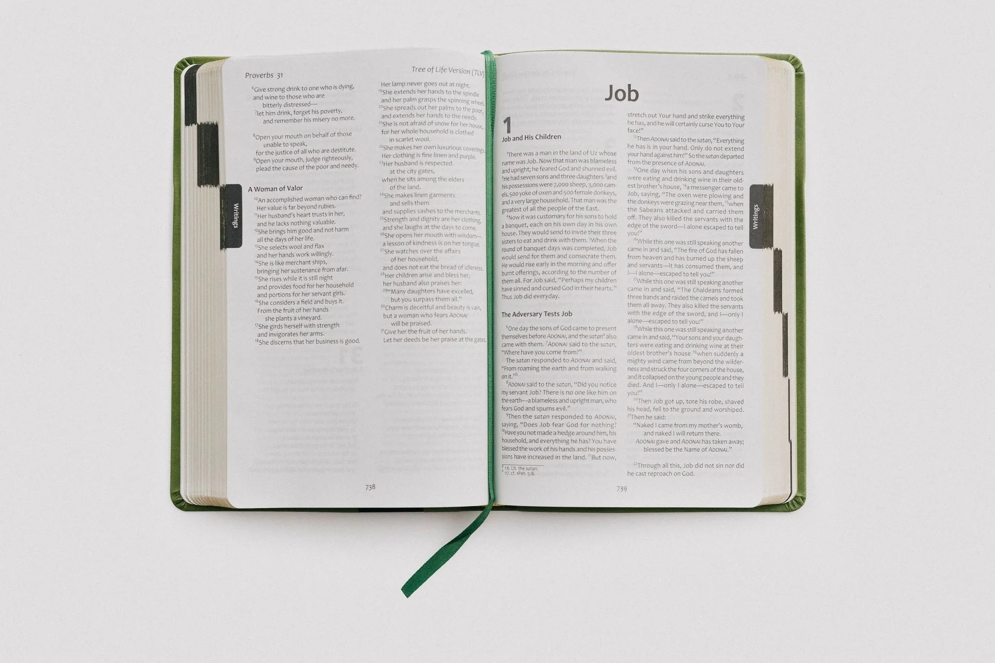 TLV Holy Scriptures: Thinline Edition (Leatherette) - Image 21