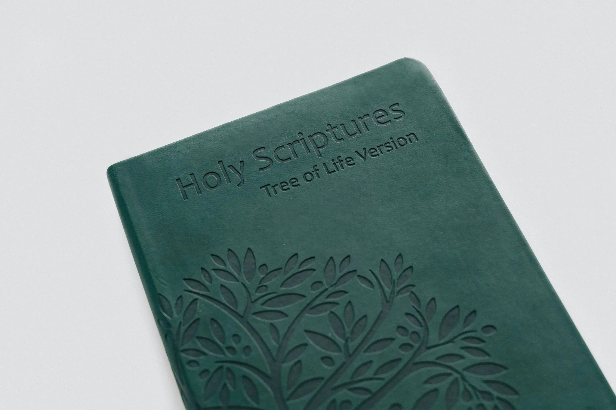 TLV Holy Scriptures: Thinline Edition (Leatherette) - Image 8