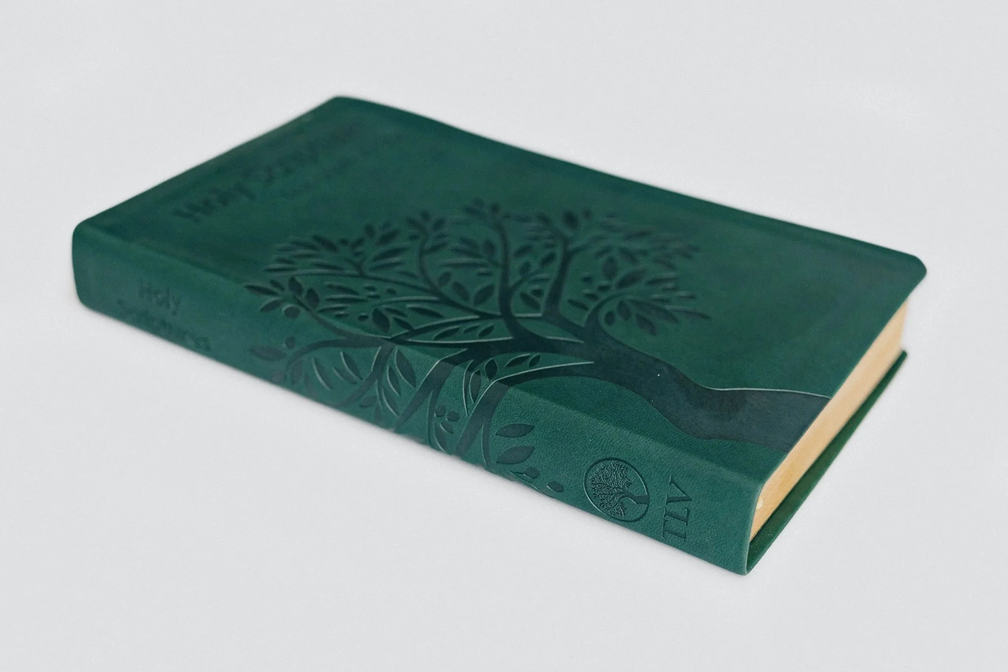 TLV Holy Scriptures: Thinline Edition (Leatherette) - Image 9