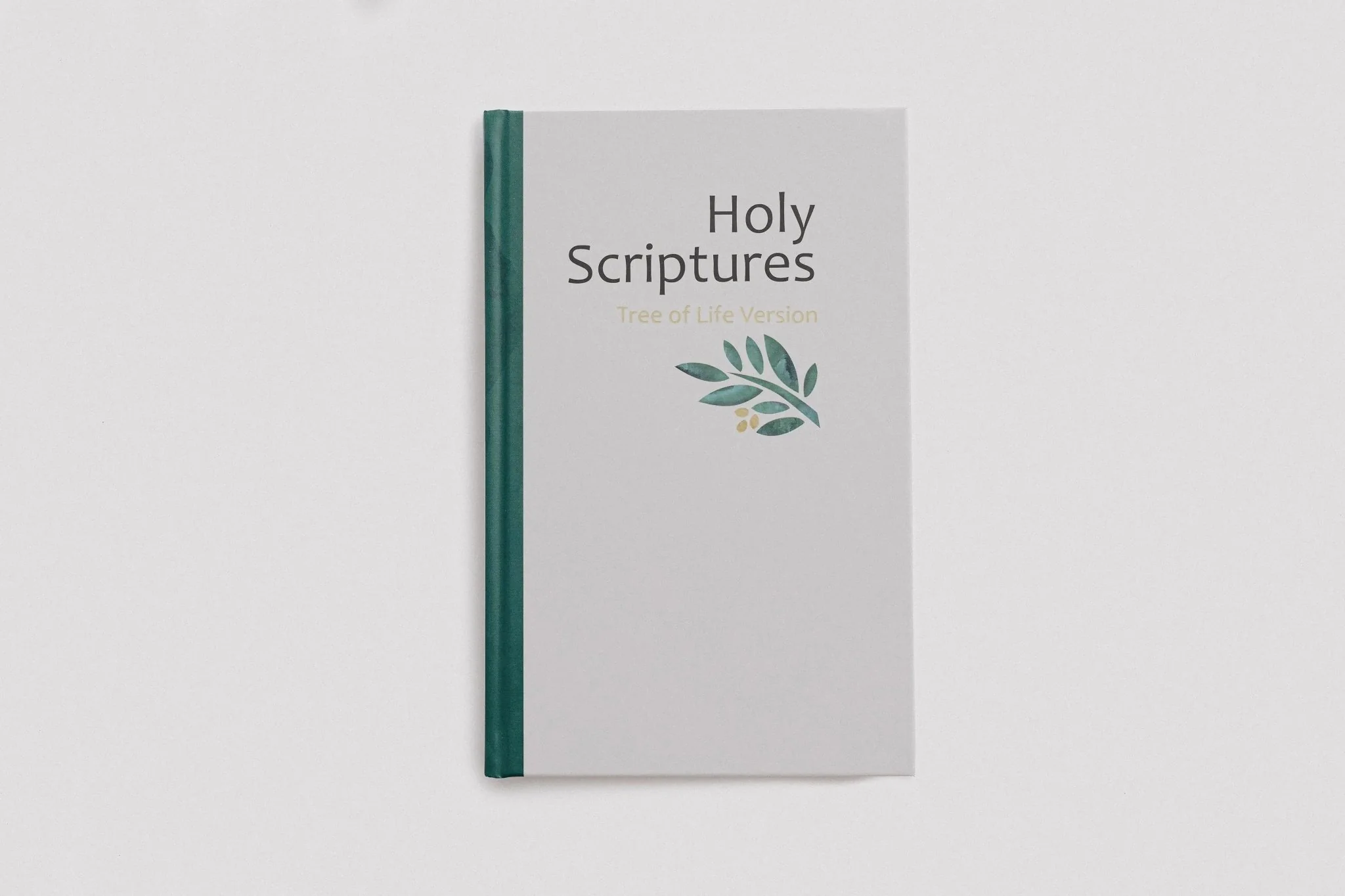 TLV Holy Scriptures: Thinline Edition (Hardback) - Image 11