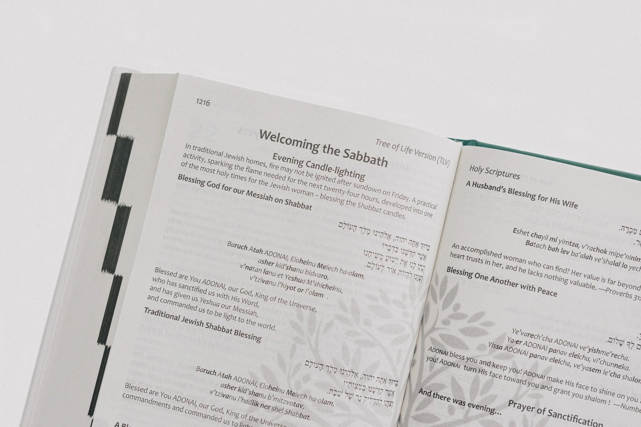 TLV Holy Scriptures: Thinline Edition (Hardback) - Image 12