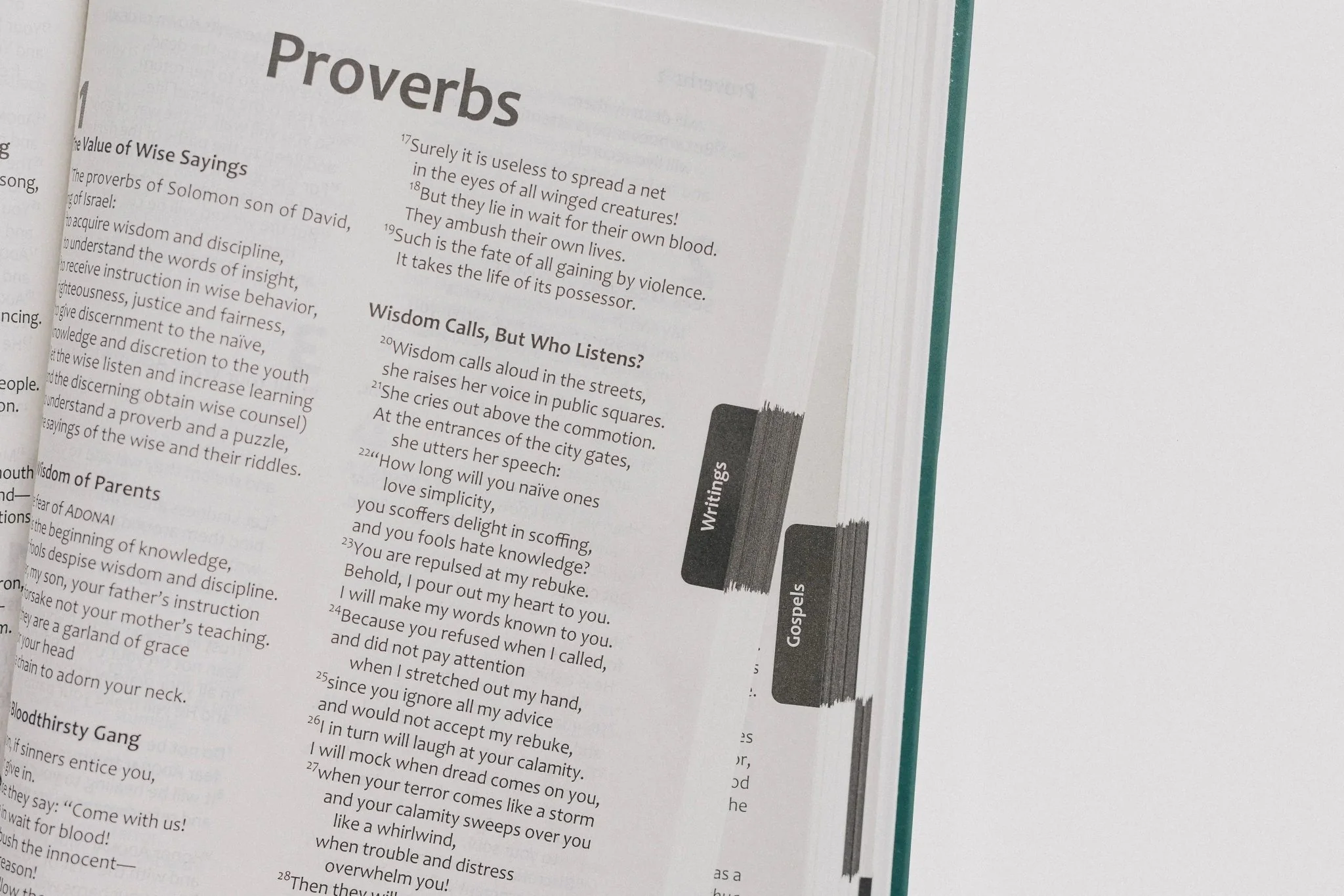 TLV Holy Scriptures: Thinline Edition (Hardback) - Image 13